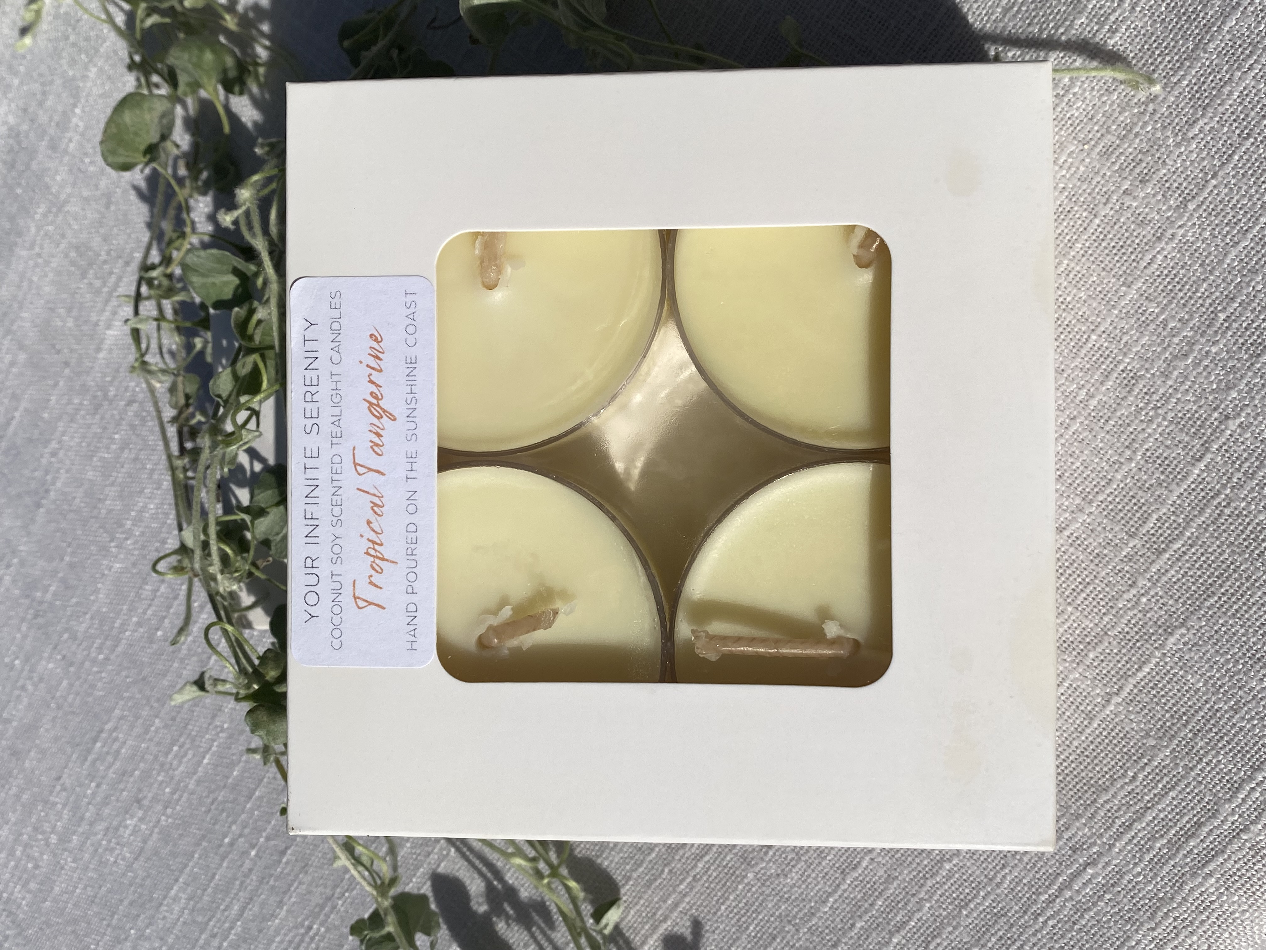 4pk Tropical Tangerine Coconut Soy Maxi Tealight Candles