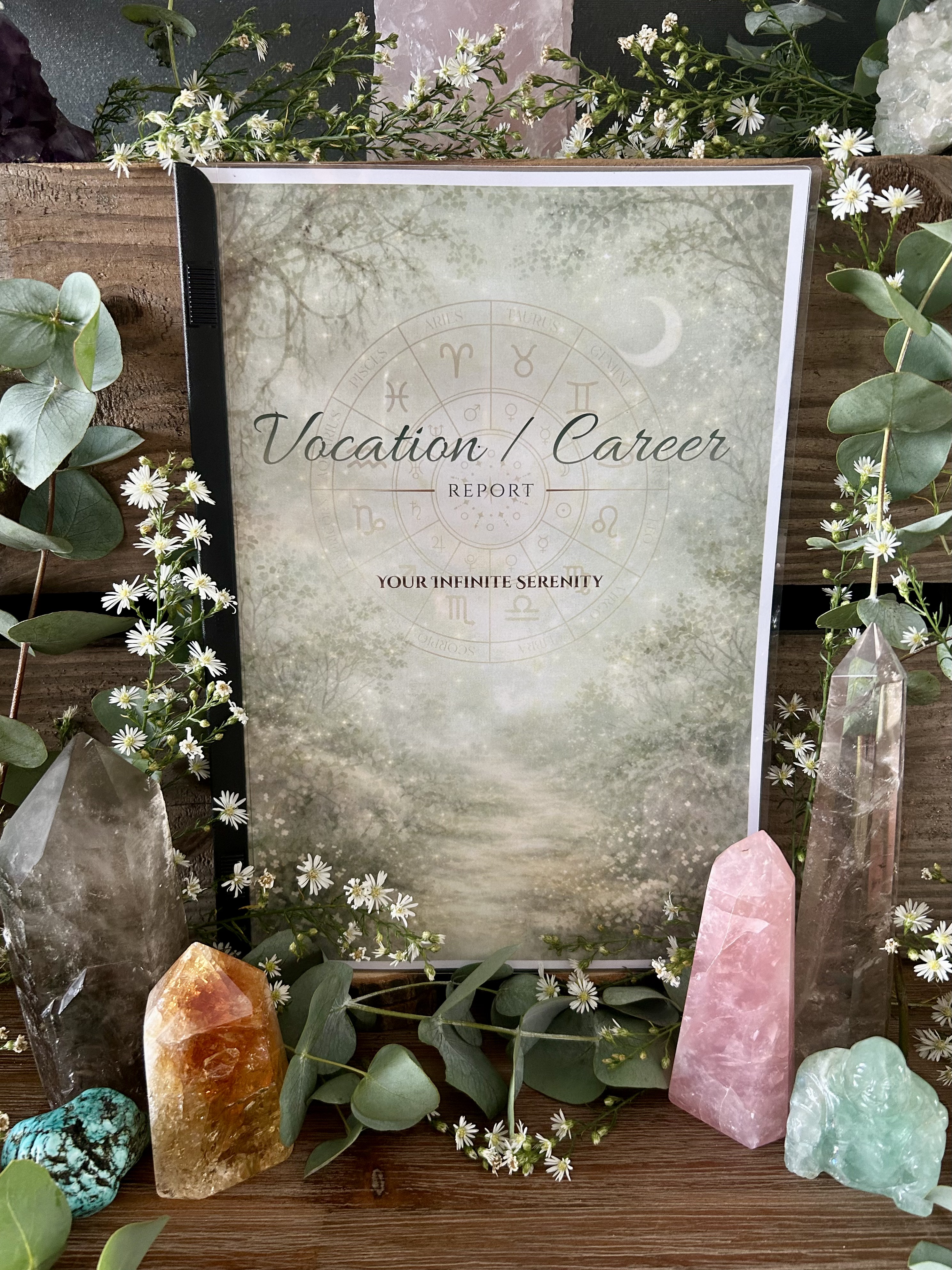 Vocation / Career Report