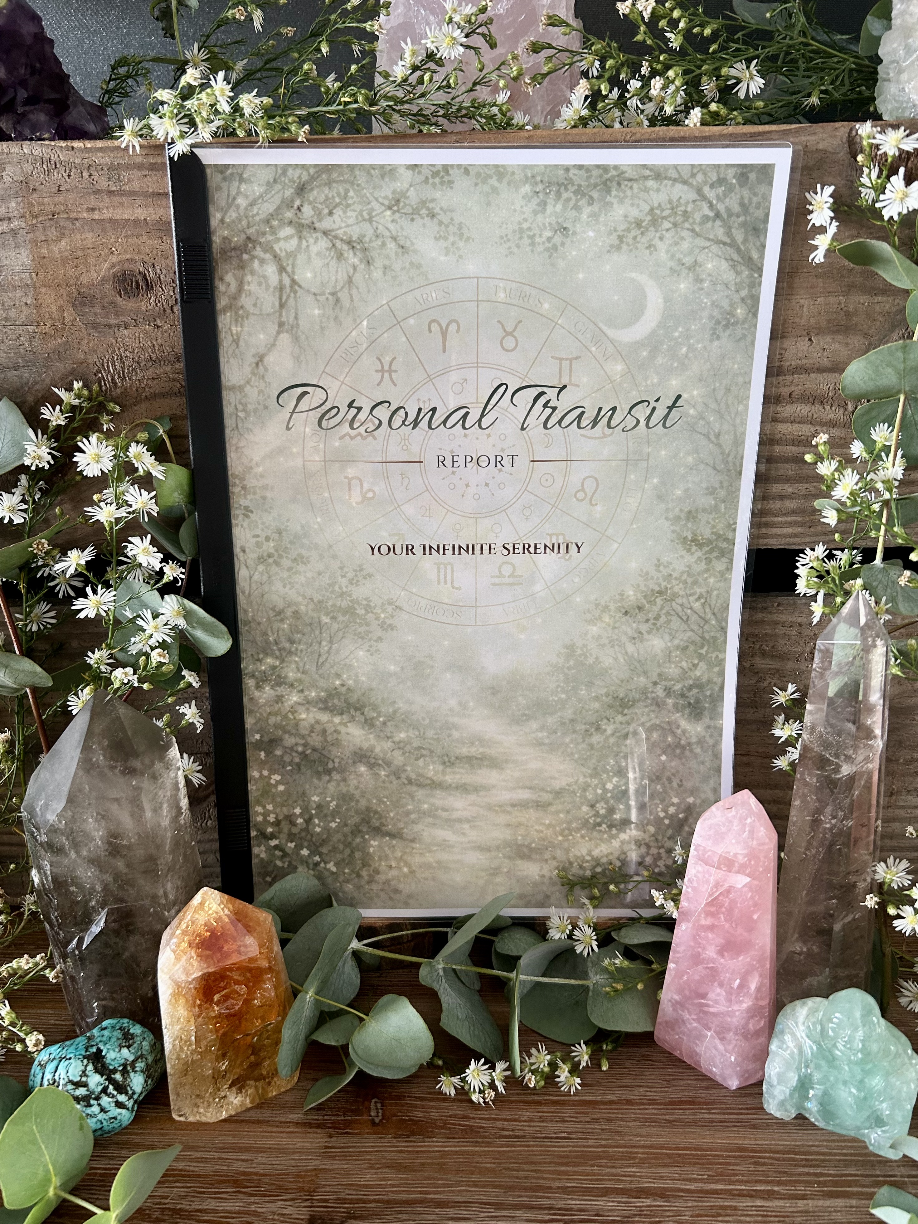 Personal Transit Report