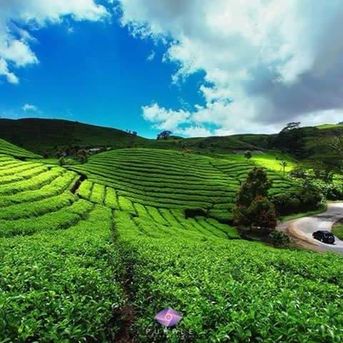Tour Minang Mandeh Solok 3d2n