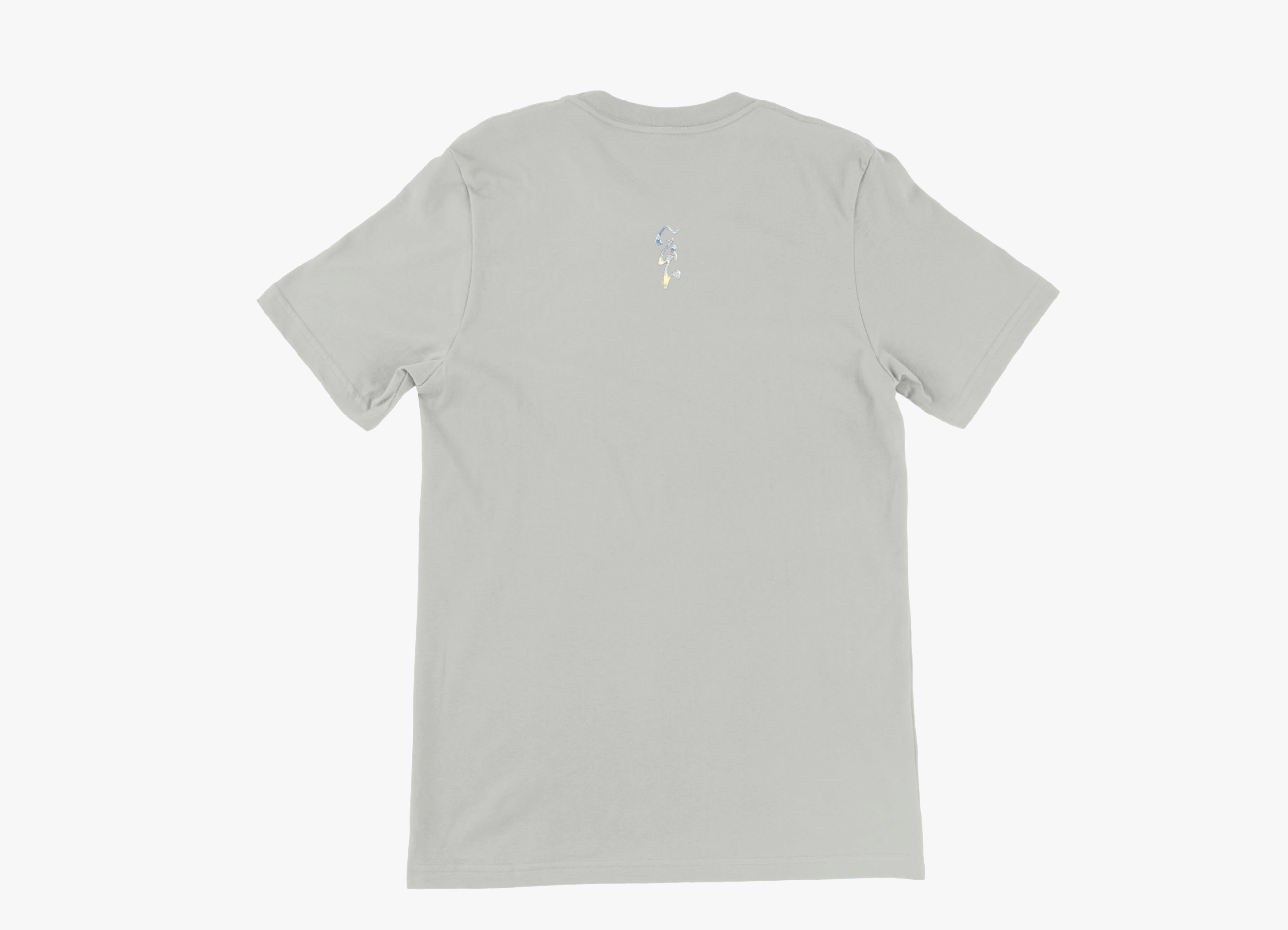 Eva Constance Logo Premium Unisex V-Neck T-shirt Silver