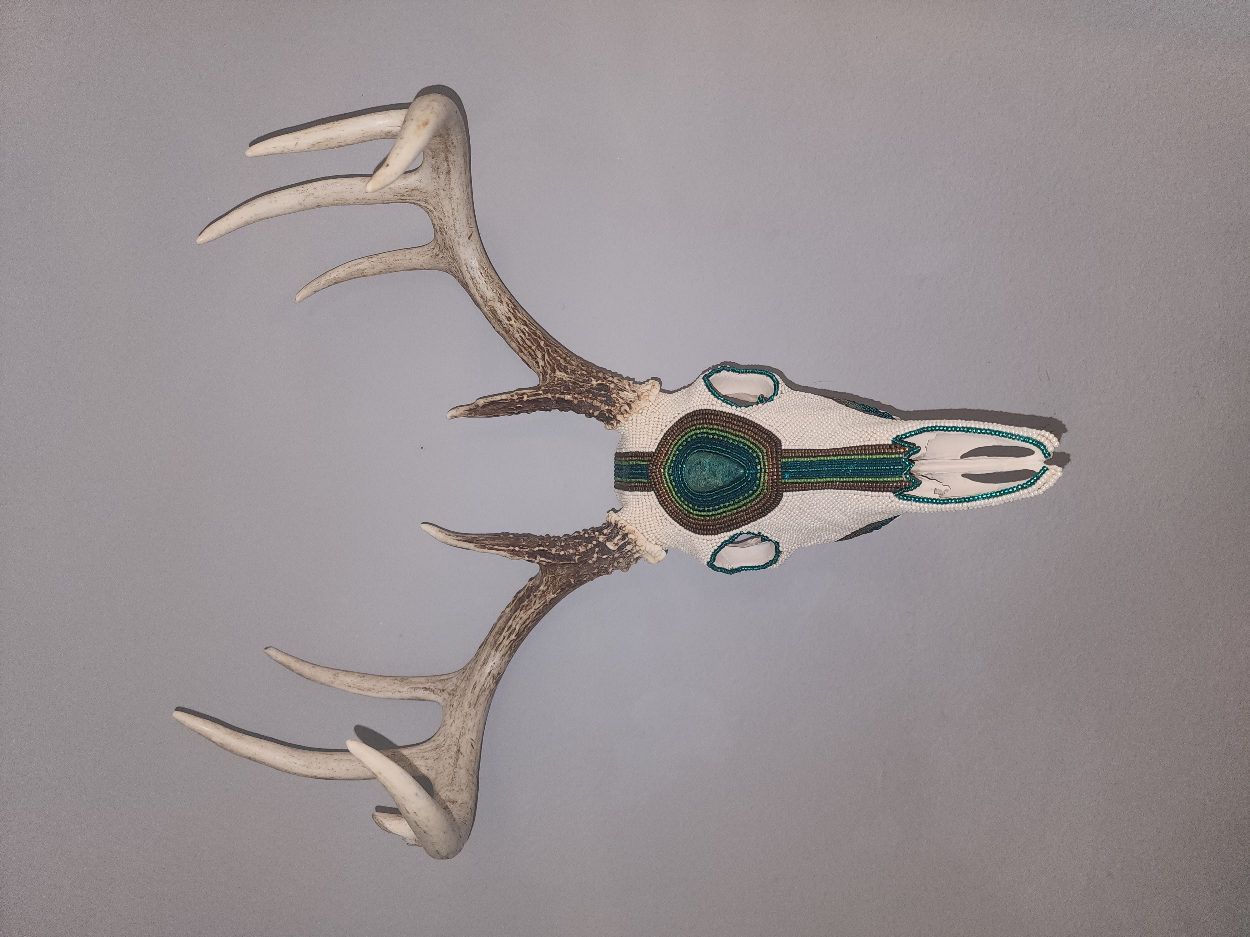 Shattuckite & Azurite Cream Buck