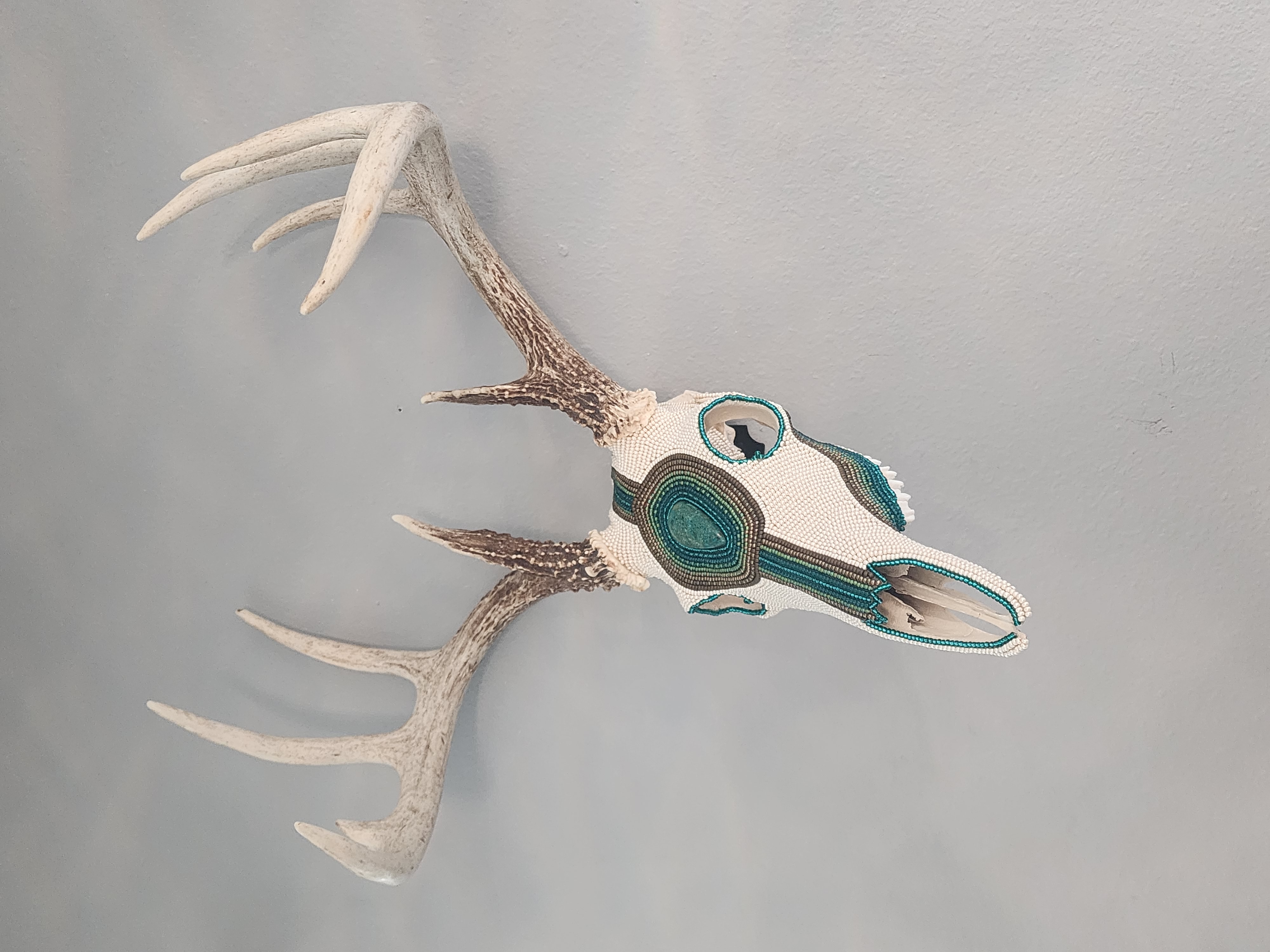 Shattuckite & Azurite Cream Buck