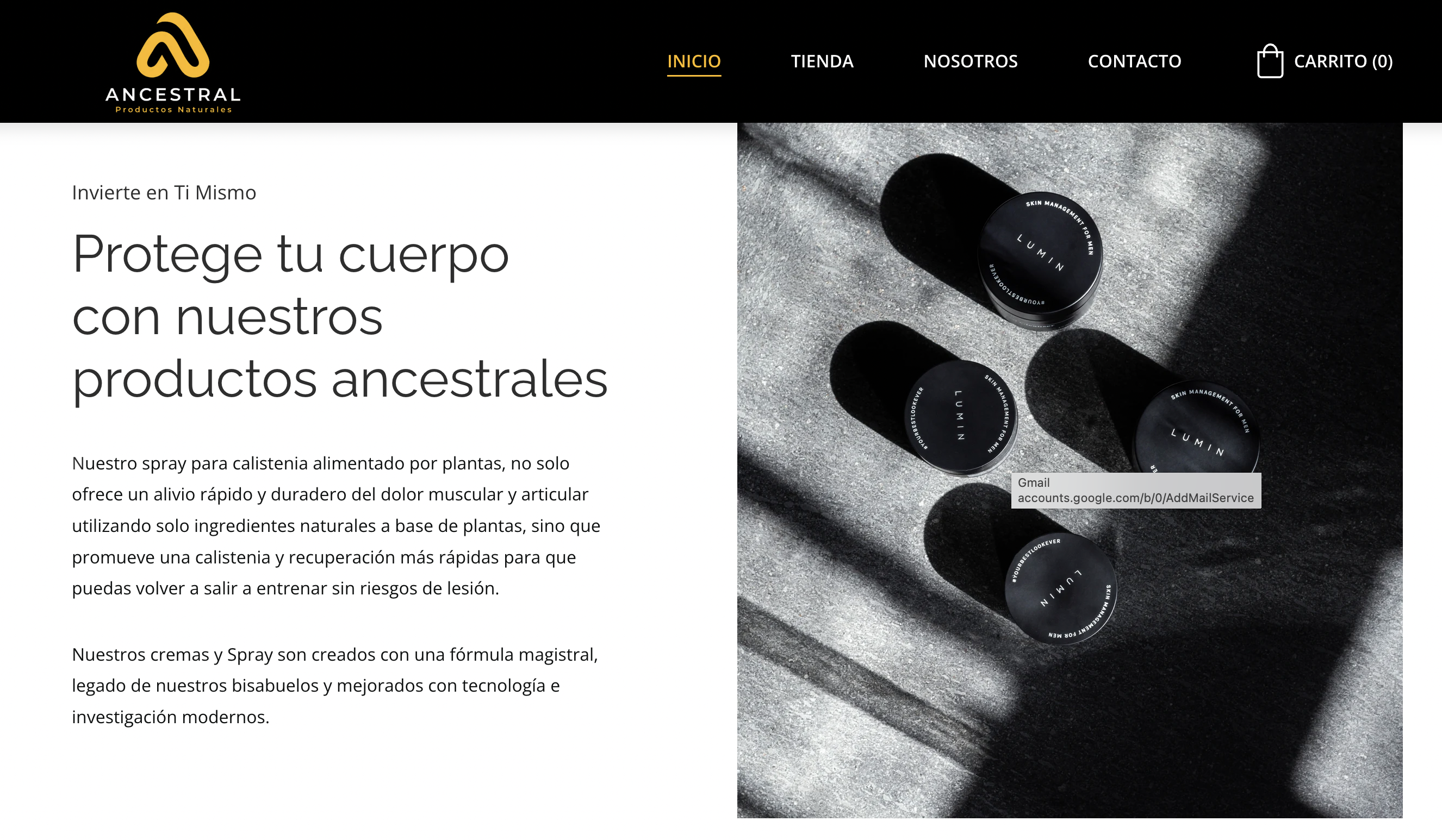 Sitio Web