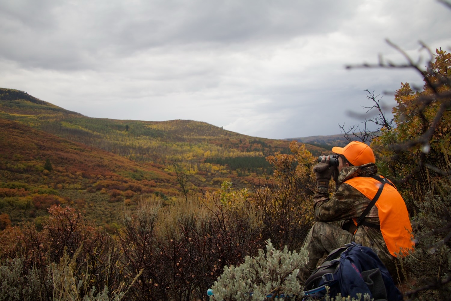 Hunt Payments (Deposits, Balances and Tips)