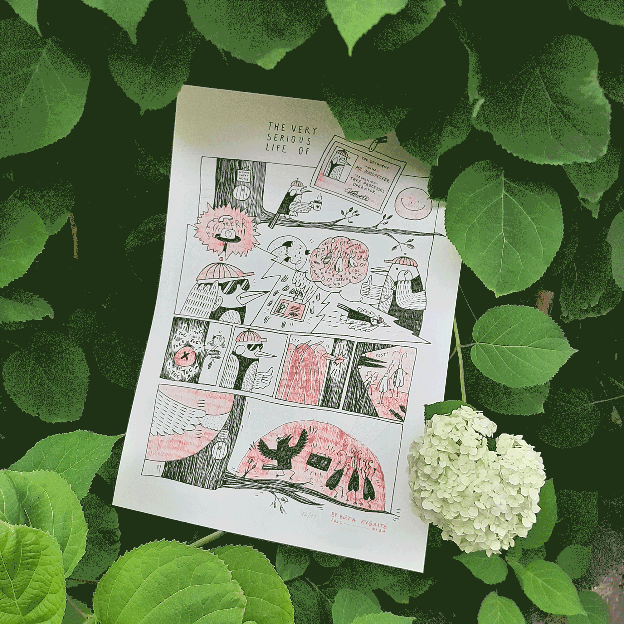 A3 print "Secret forest life"