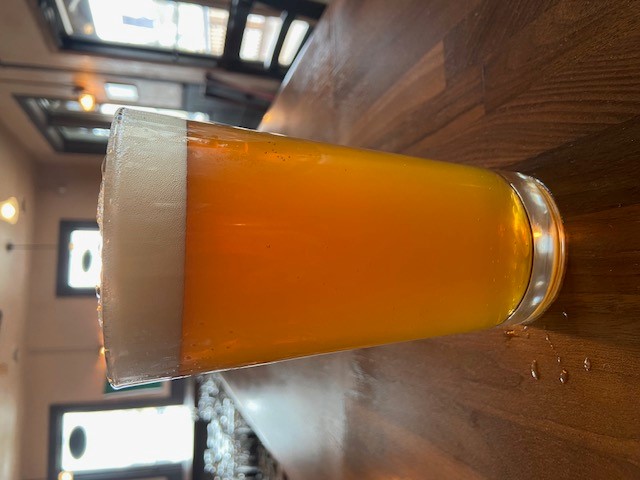 Hopster IPA