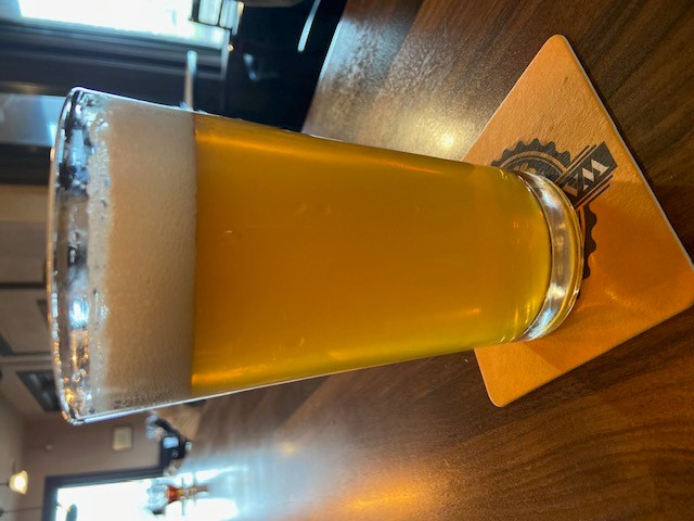 Hazy Dazy IPA