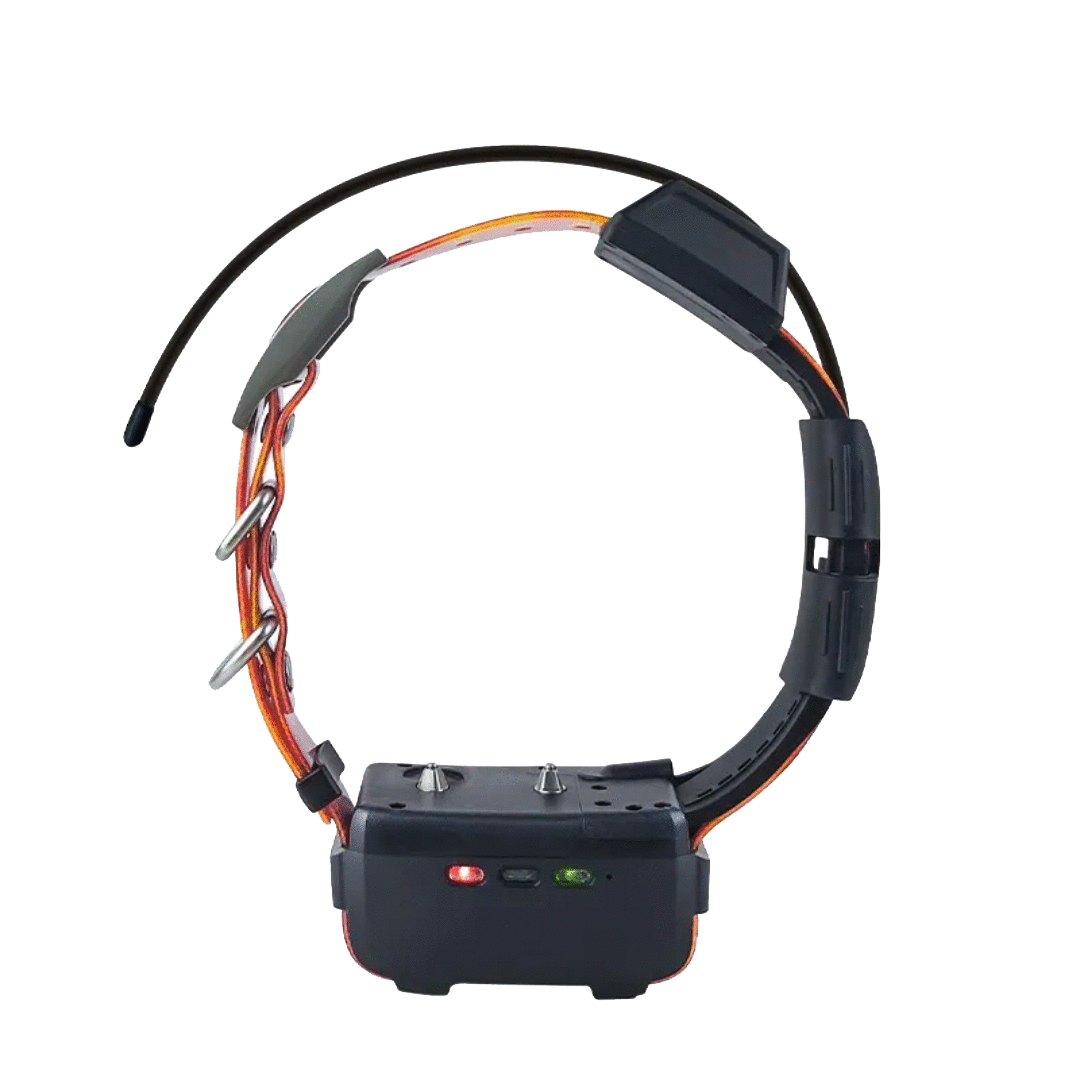 Collier de suivi pour chien RoG Speeder GPSM