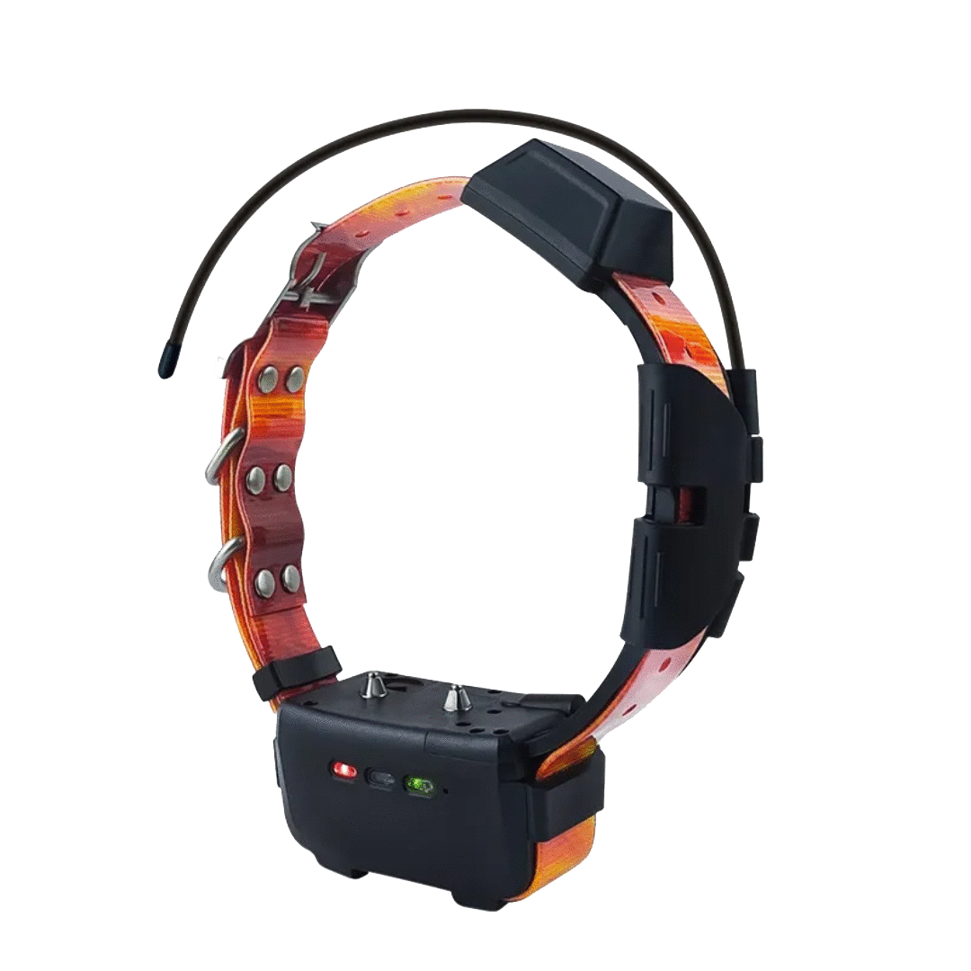Collier de suivi pour chien RoG Speeder GPSM