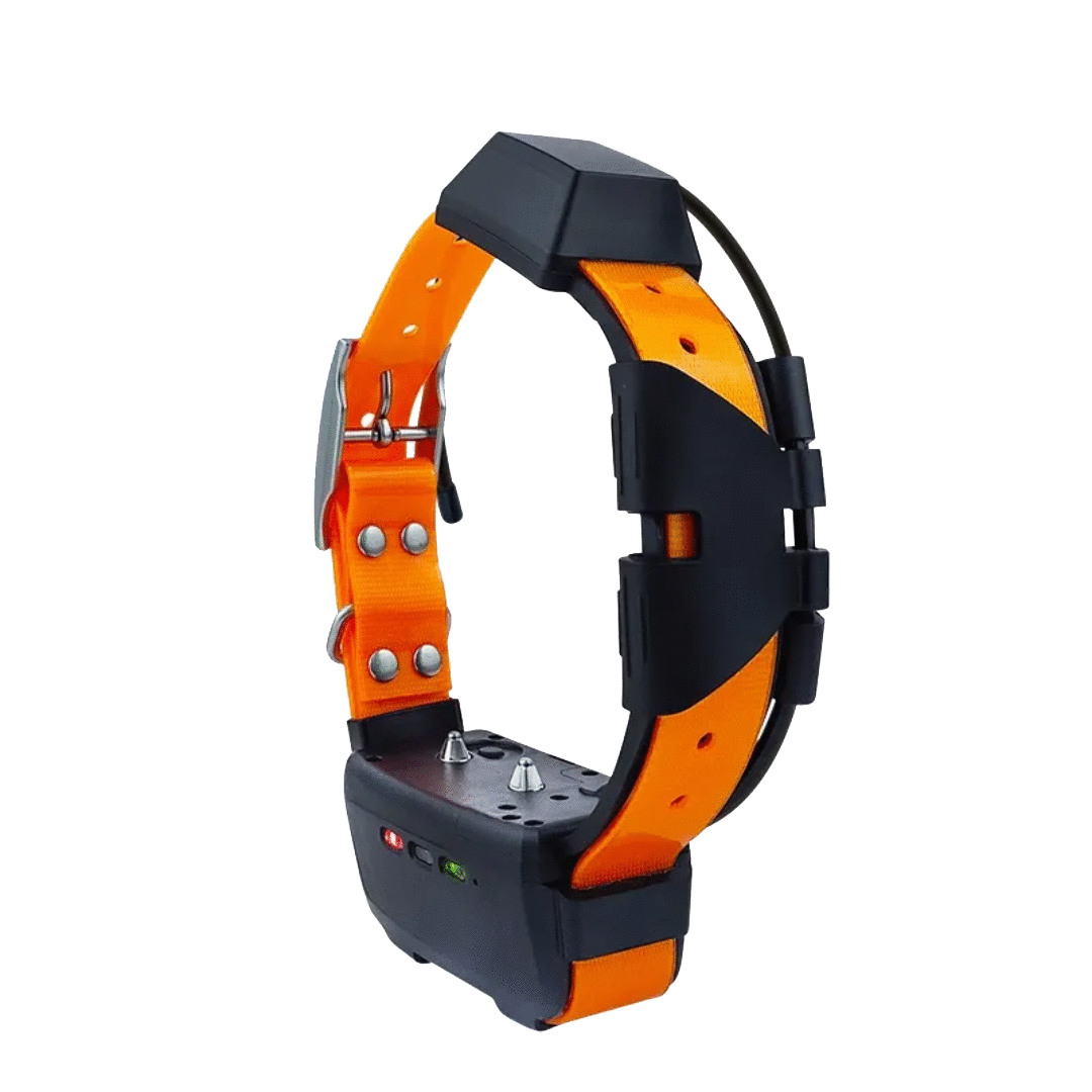 Collier de suivi pour chien RoG Speeder GPSM