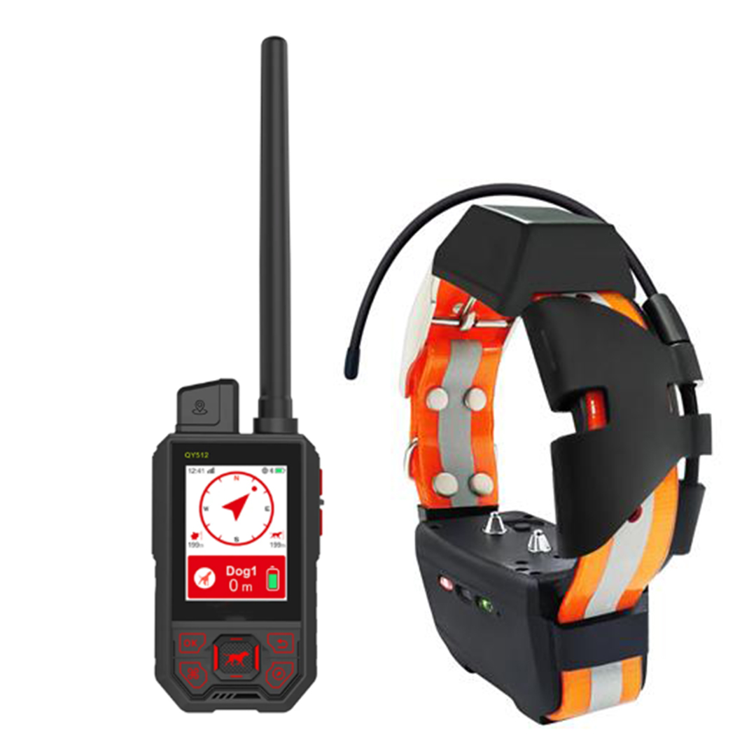 Pack Standard Dressage RoG TR DOG