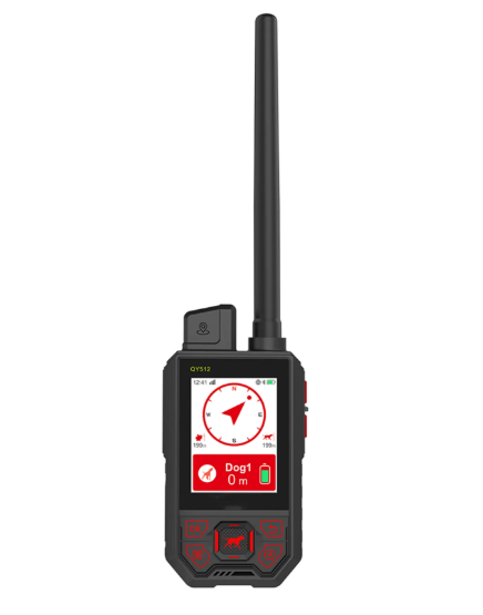 Pack Standard Dressage RoG TR DOG