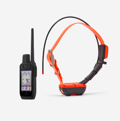 Pack collier + télécommande de repérage/dressage chien garmin alpha 300 t20