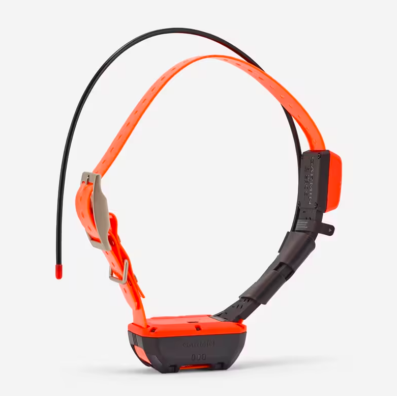 Pack collier GPS Alpha 200 F plus et collier T20 F