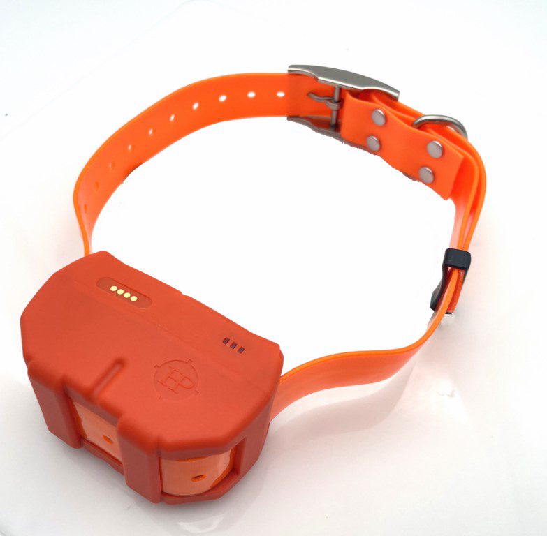Dogze 4 G DOGZE 4G – Balise GPS de repérage et dressage 4G