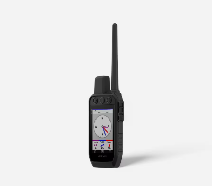 Pack collier + télécommande de repérage/dressage chien garmin alpha 300 tt25