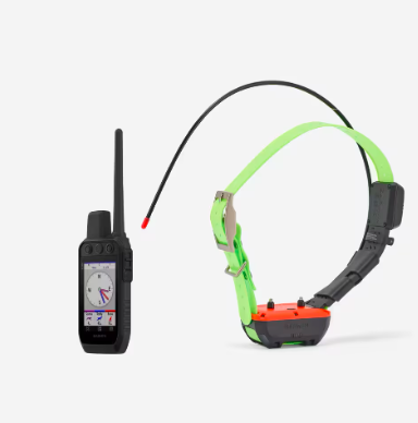 Pack collier + télécommande de repérage/dressage chien garmin alpha 300 tt25