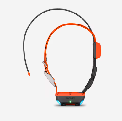 Pack collier GPS Alpha 200 F plus et collier T20 F