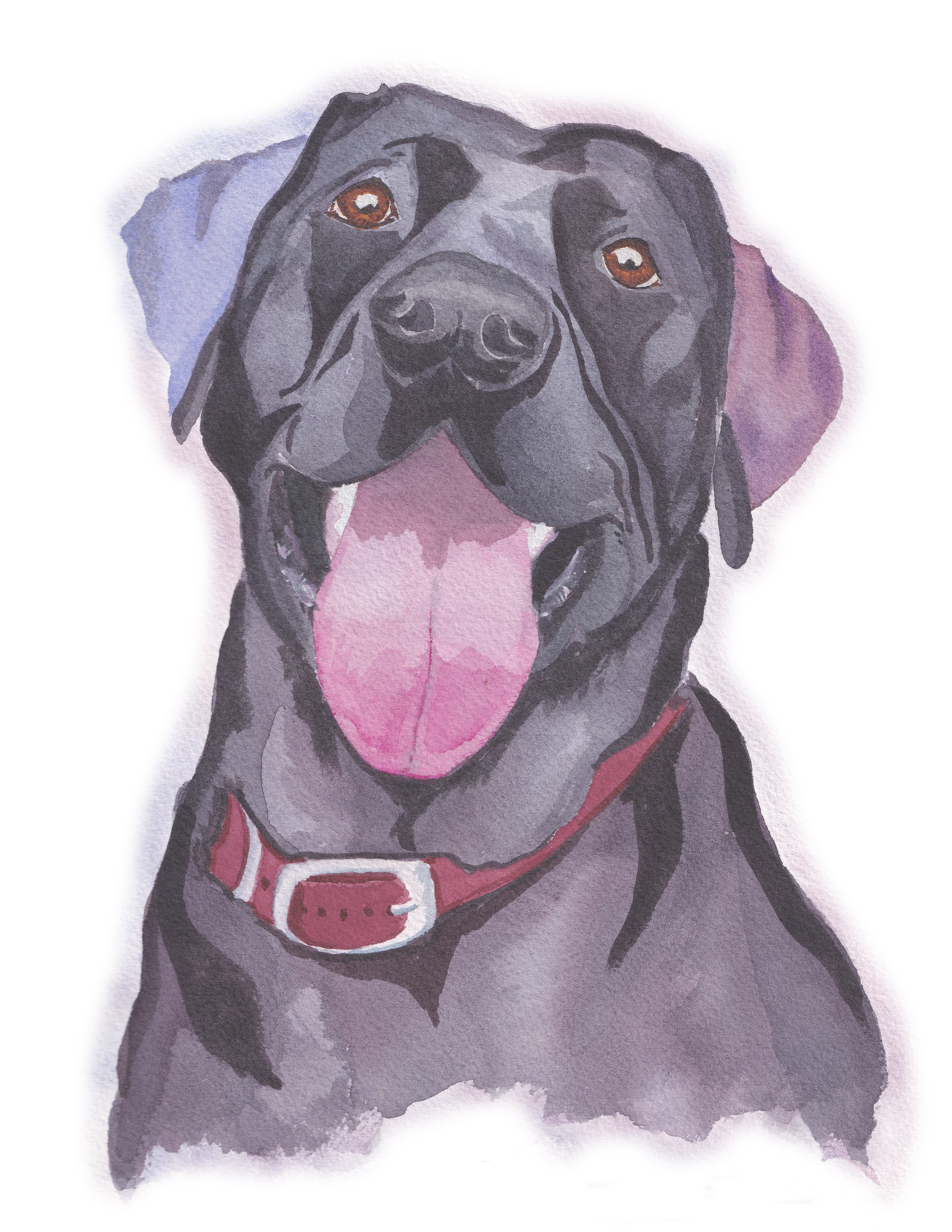 Custom Pet Portrait