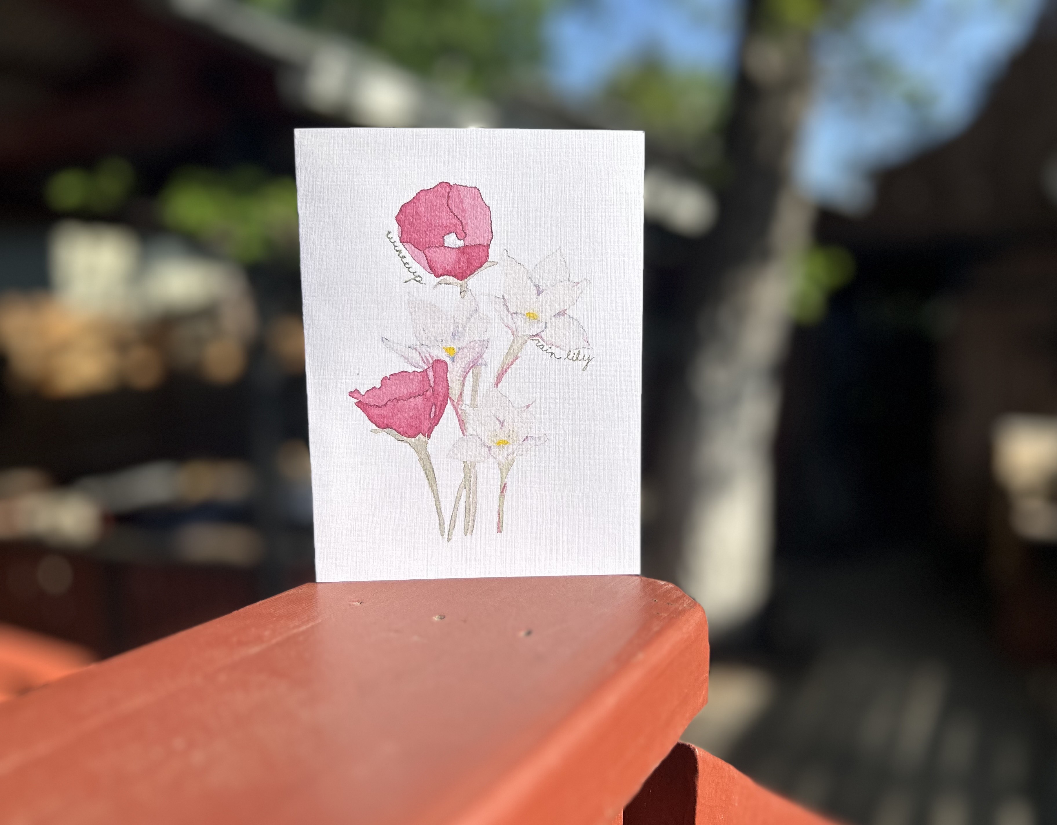 Texas wildflowers: Winecup & Rain Lily greeting card