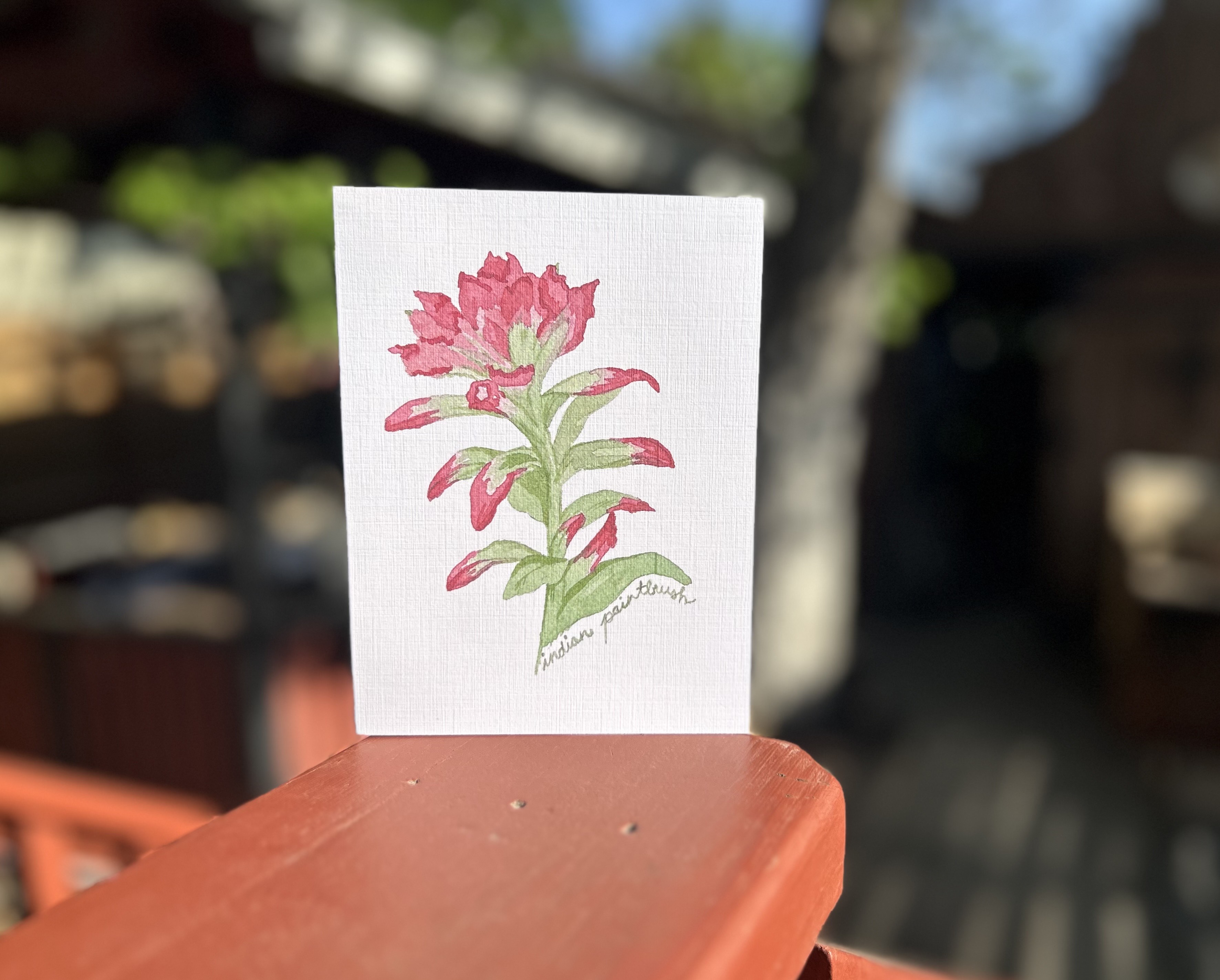 Indian Paintbrush greeting card