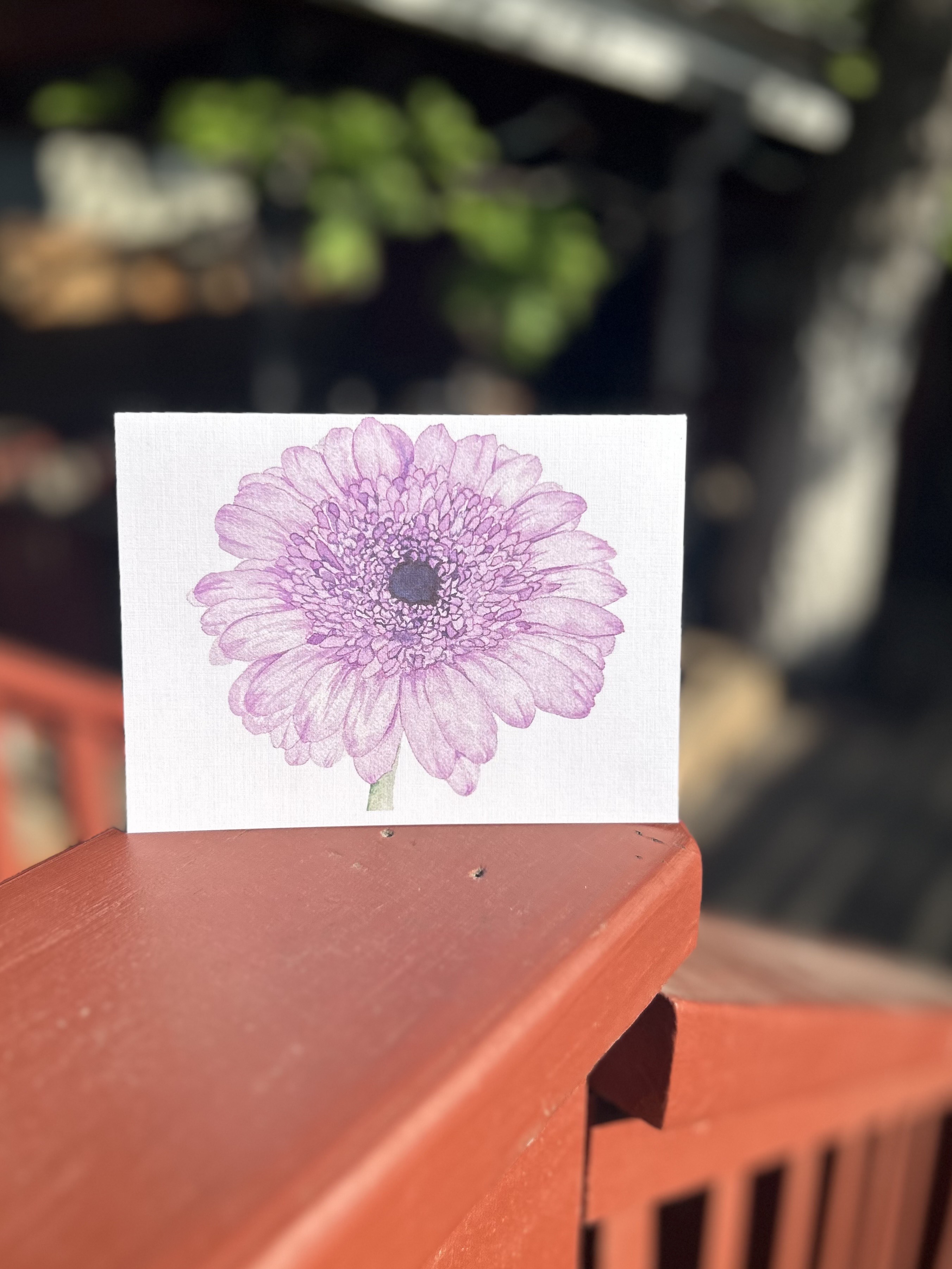 Gerbera Daisy greeting card