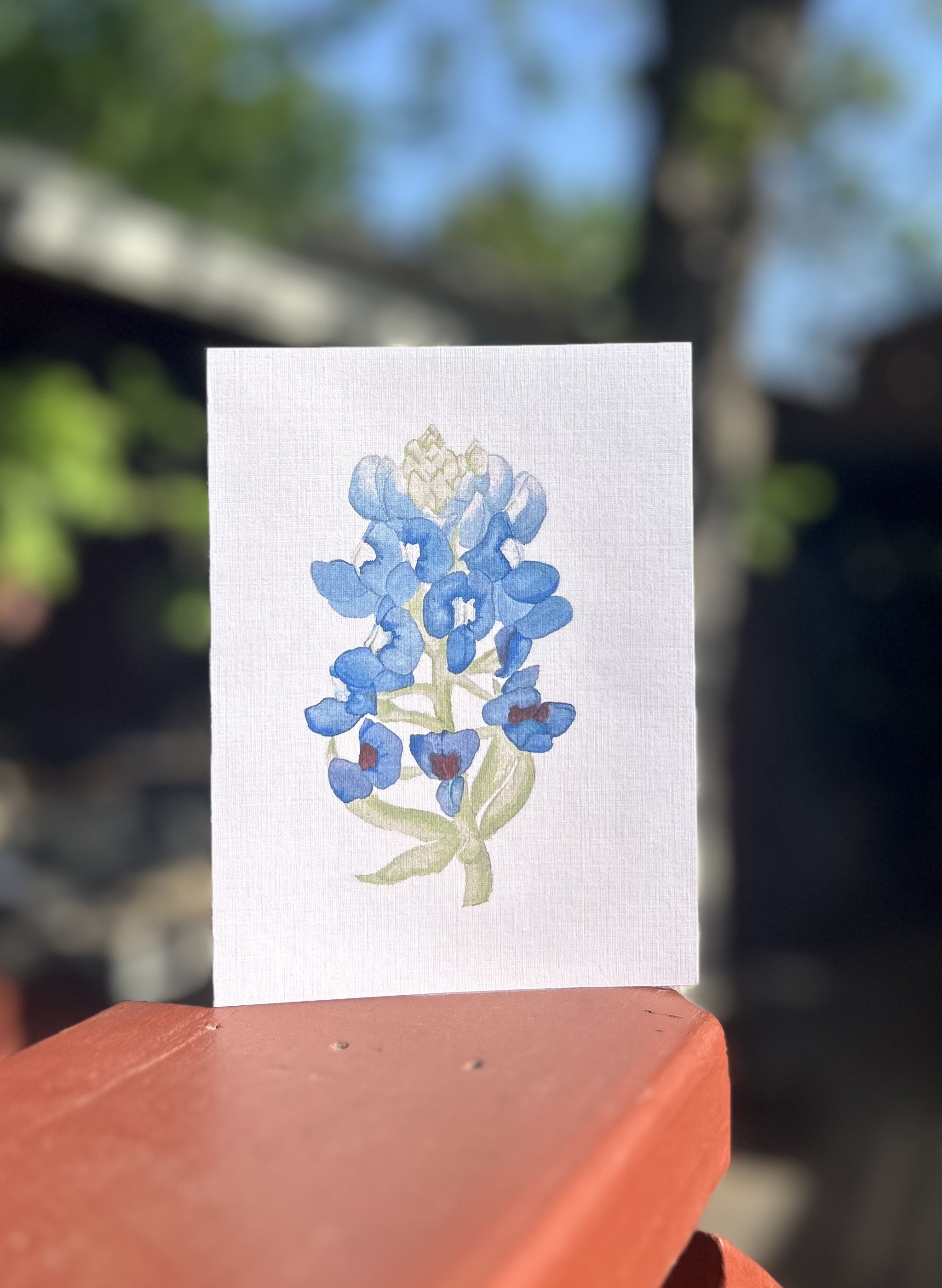 Bluebonnet greeting card