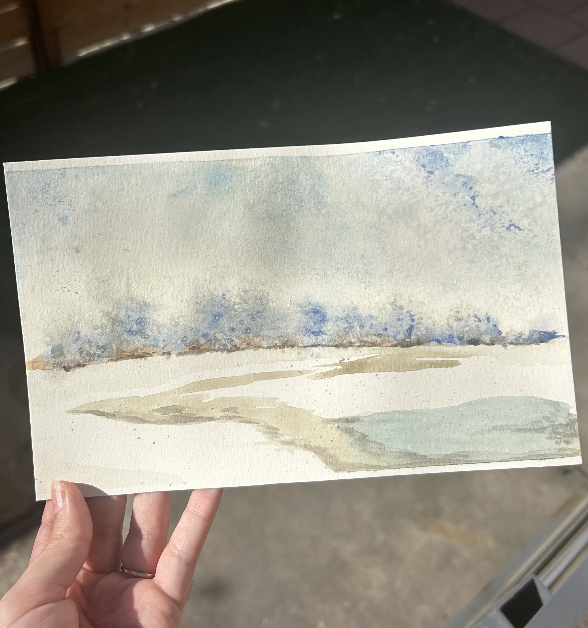 Beginner watercolor class