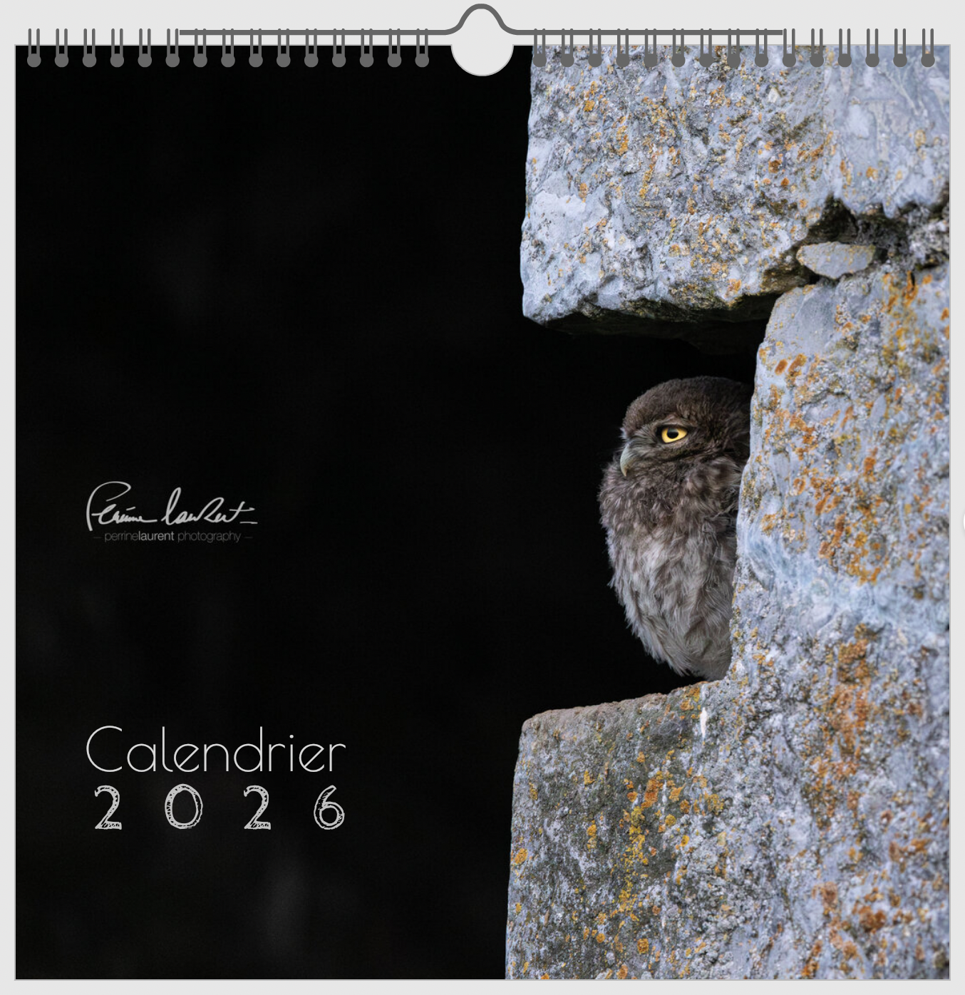 Calendrier 2026 - Format classique 30cm