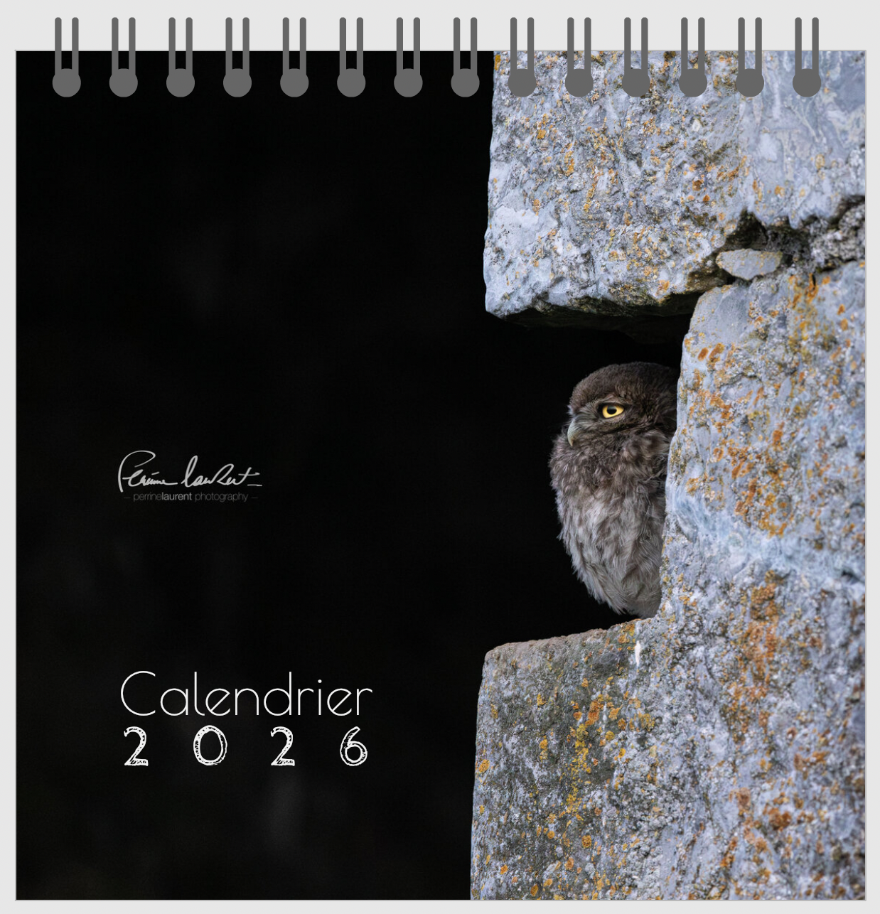 Calendrier 2026 - Format bureau 14cm