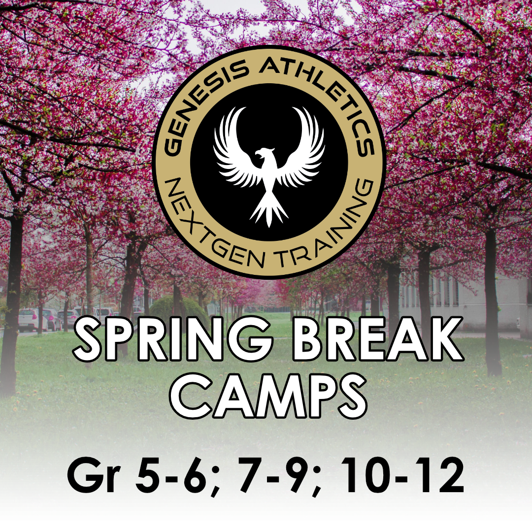 Spring Break Volleyball Camps
