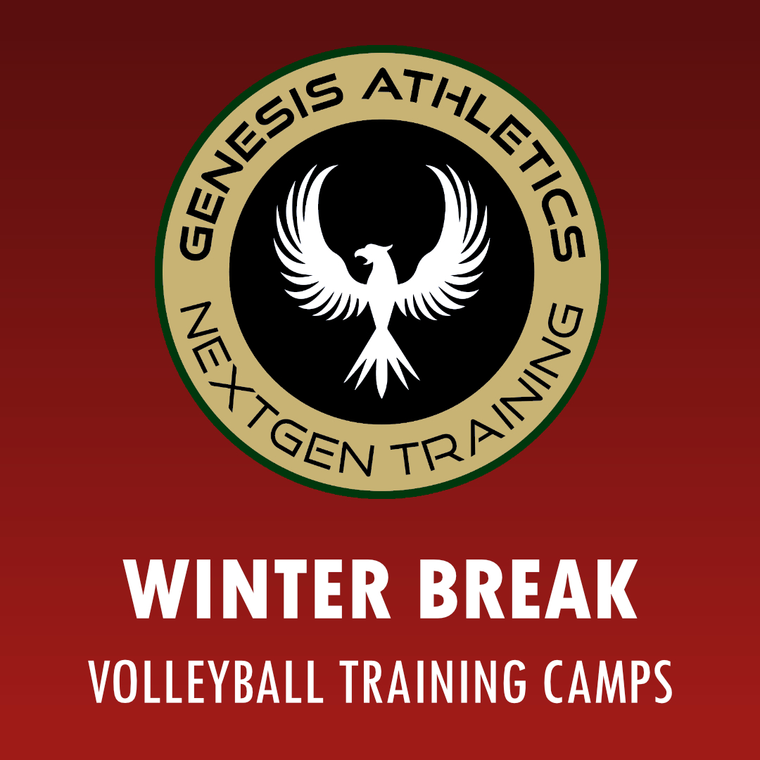 Winter Break Volleyball Camps