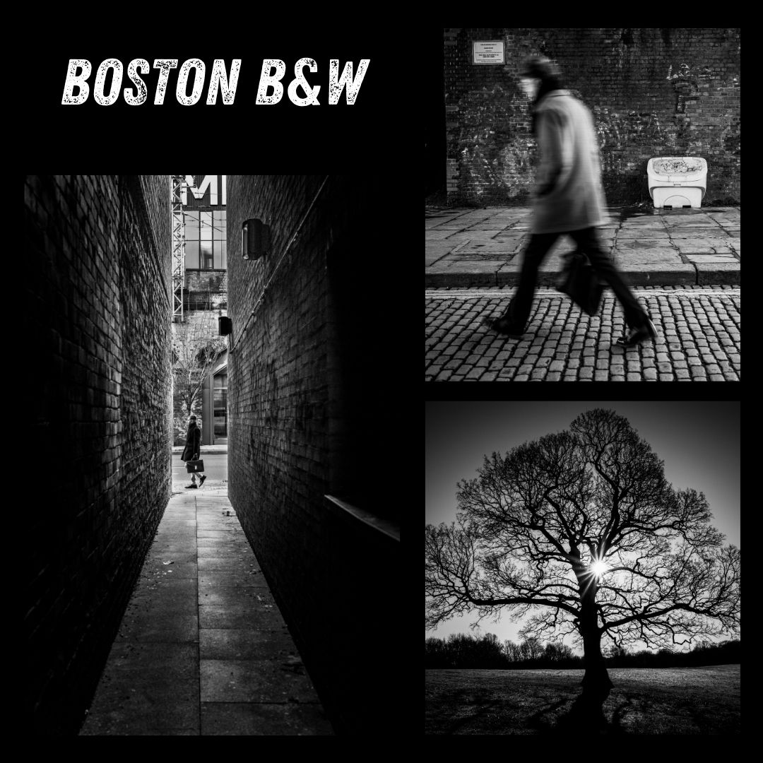 xx B&W BY VALOU - Pack de 11 Presets LIGHTROOM CLASSIC & MOBILE xx