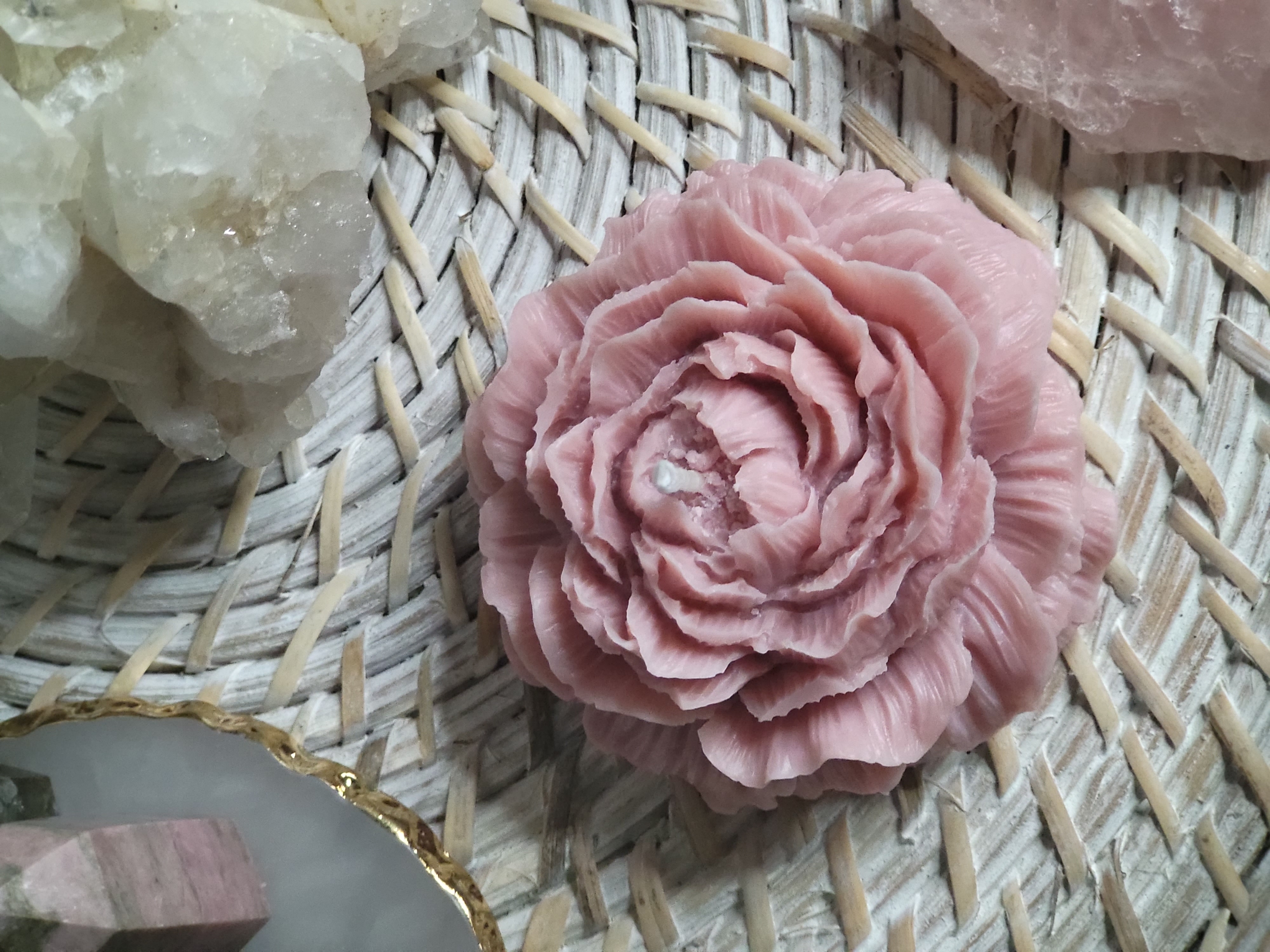 Sweet Raspberry Peony