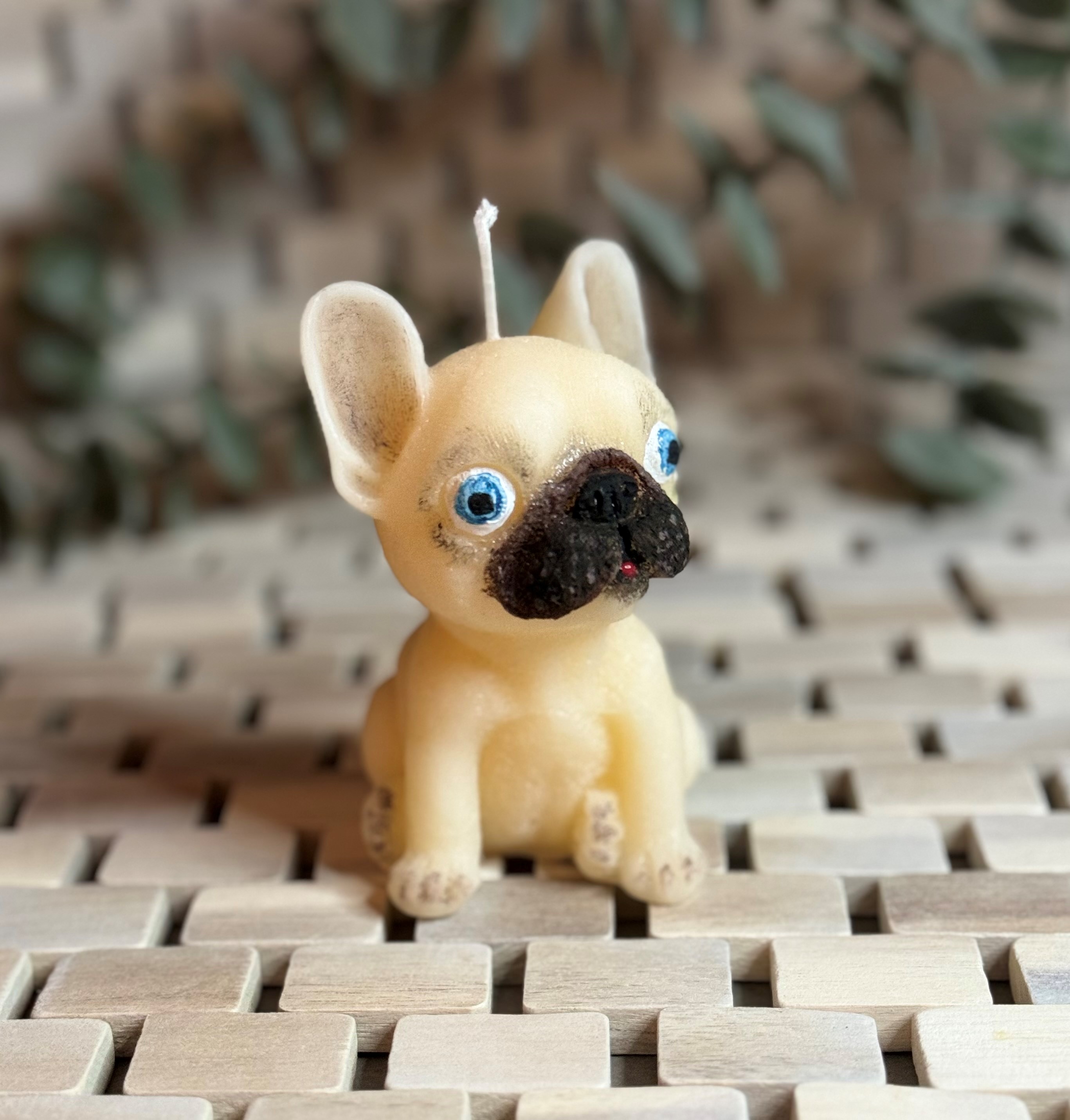 French Bulldog Candle