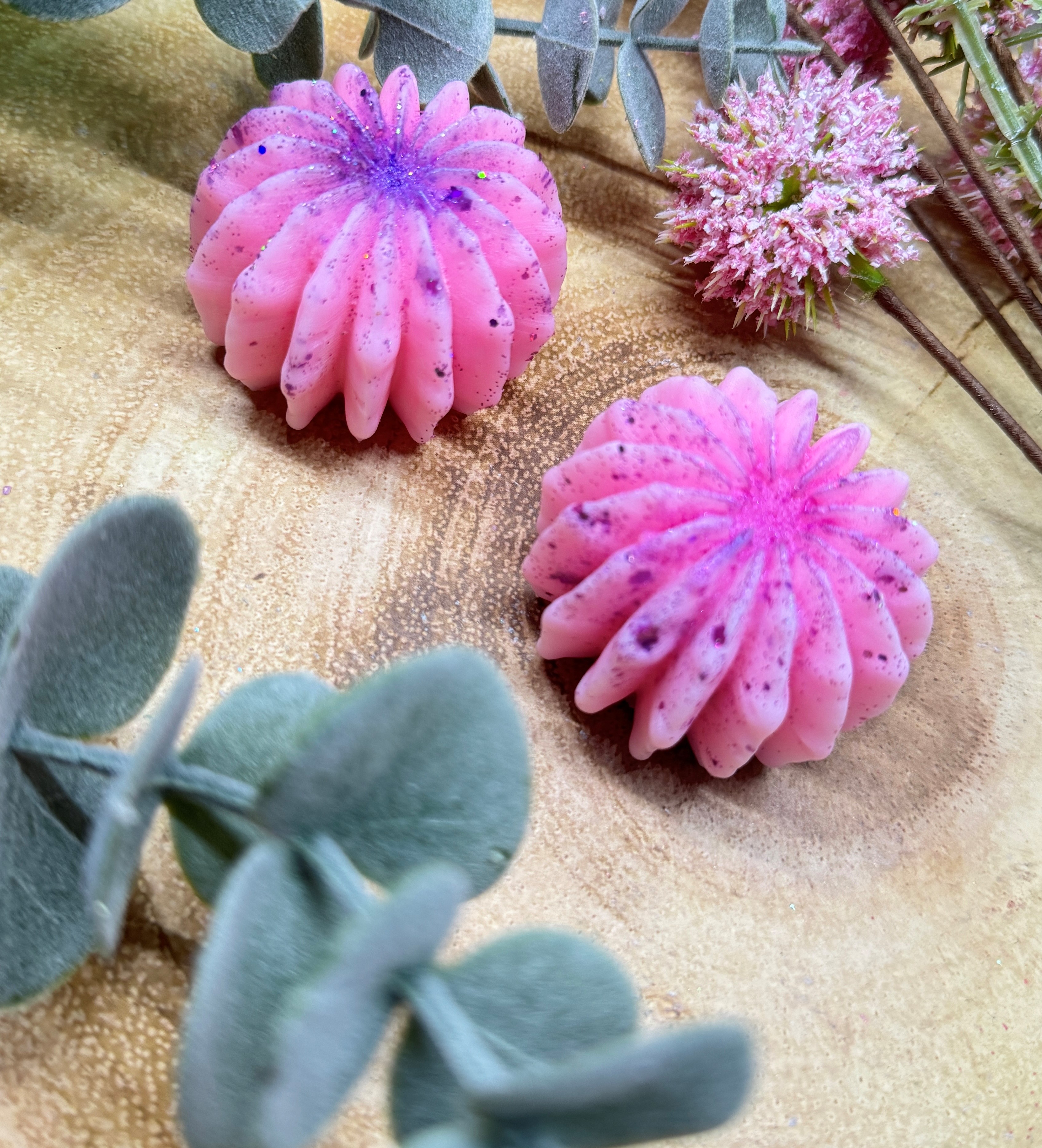 Raspberry & Amber Rose Cactus