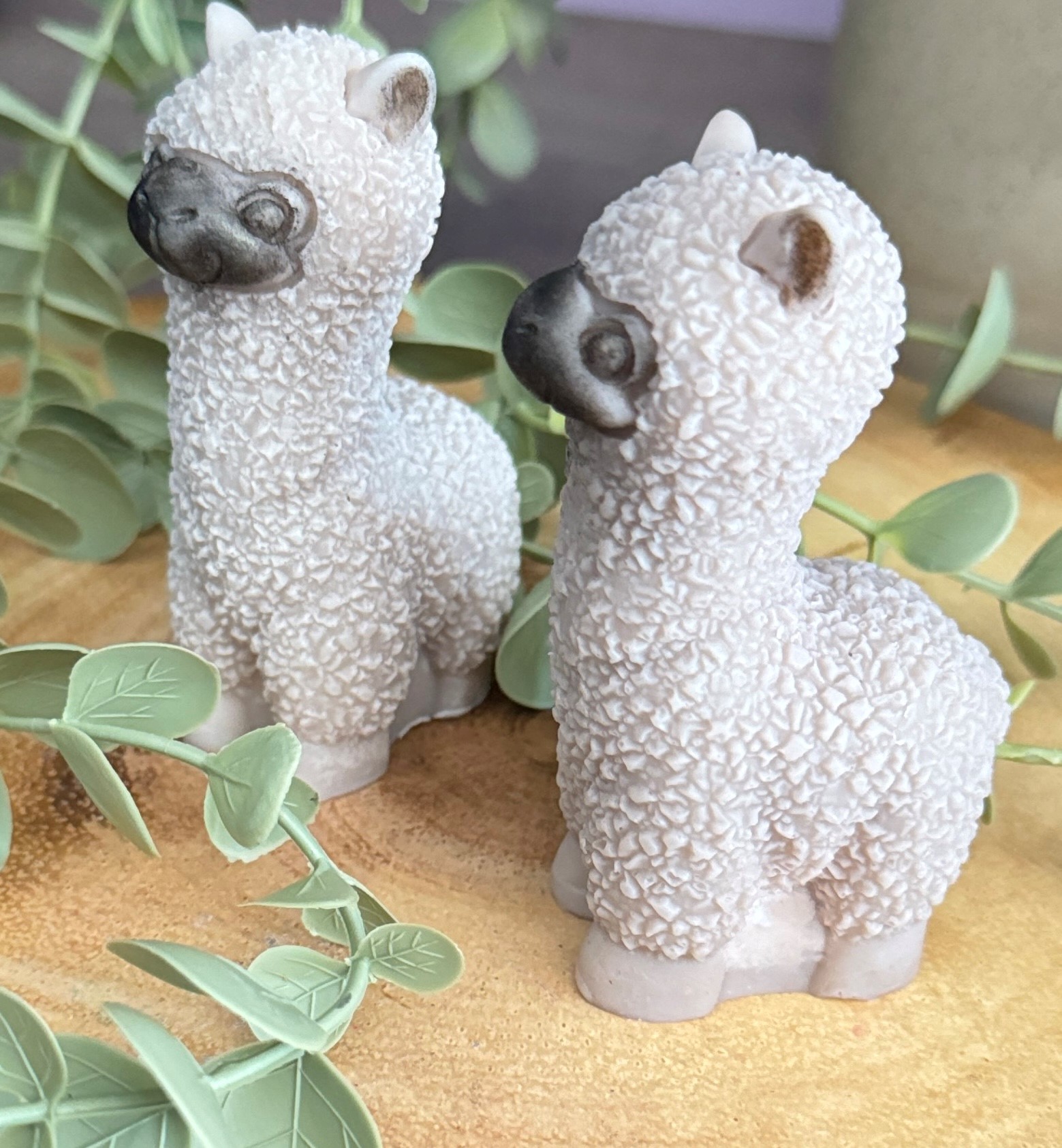 Misrule Alpaca
