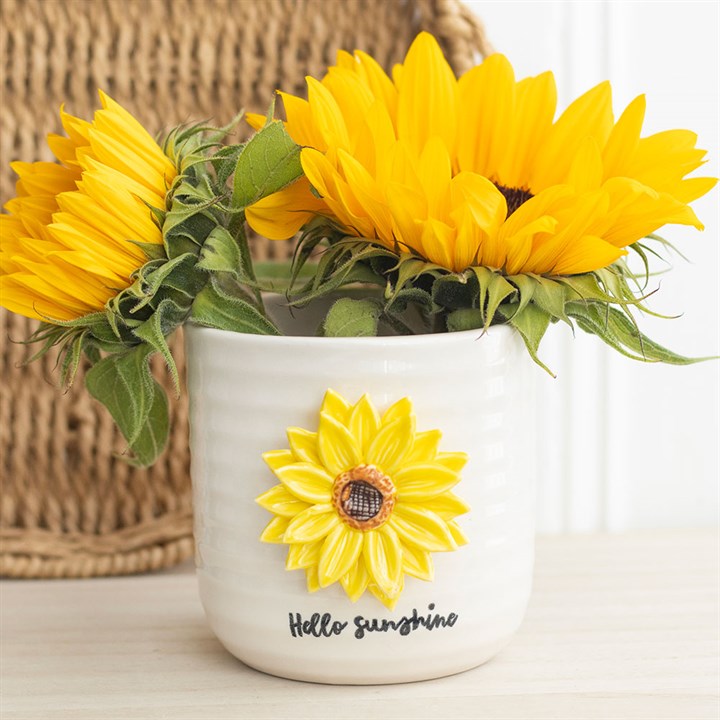 3D Sunflower Plant Pot