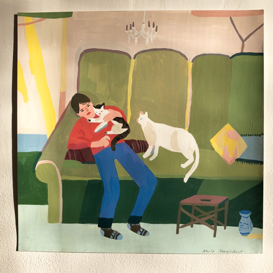cats boy