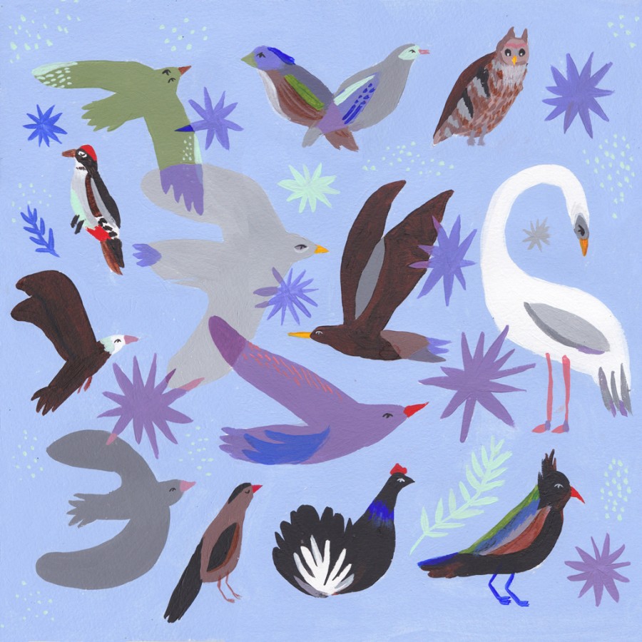 our winged friends