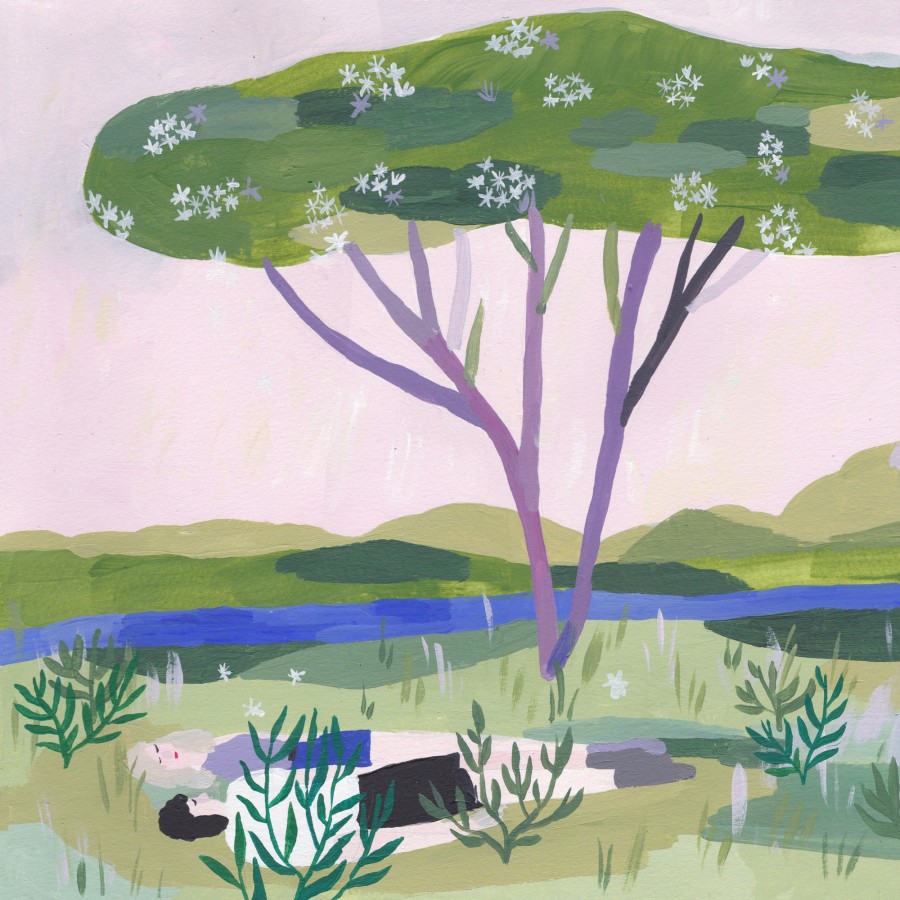 under elderberry tree