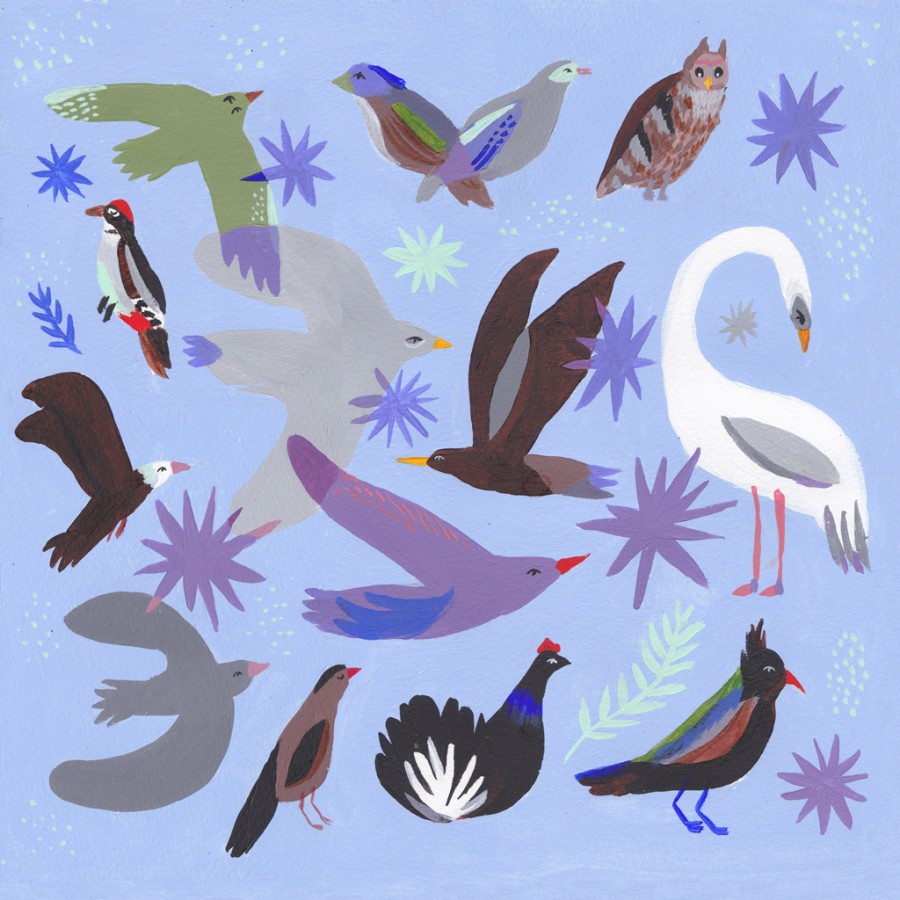 Birds