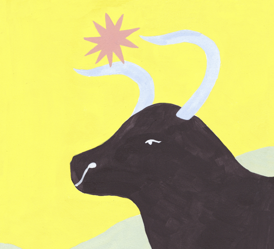 taurus