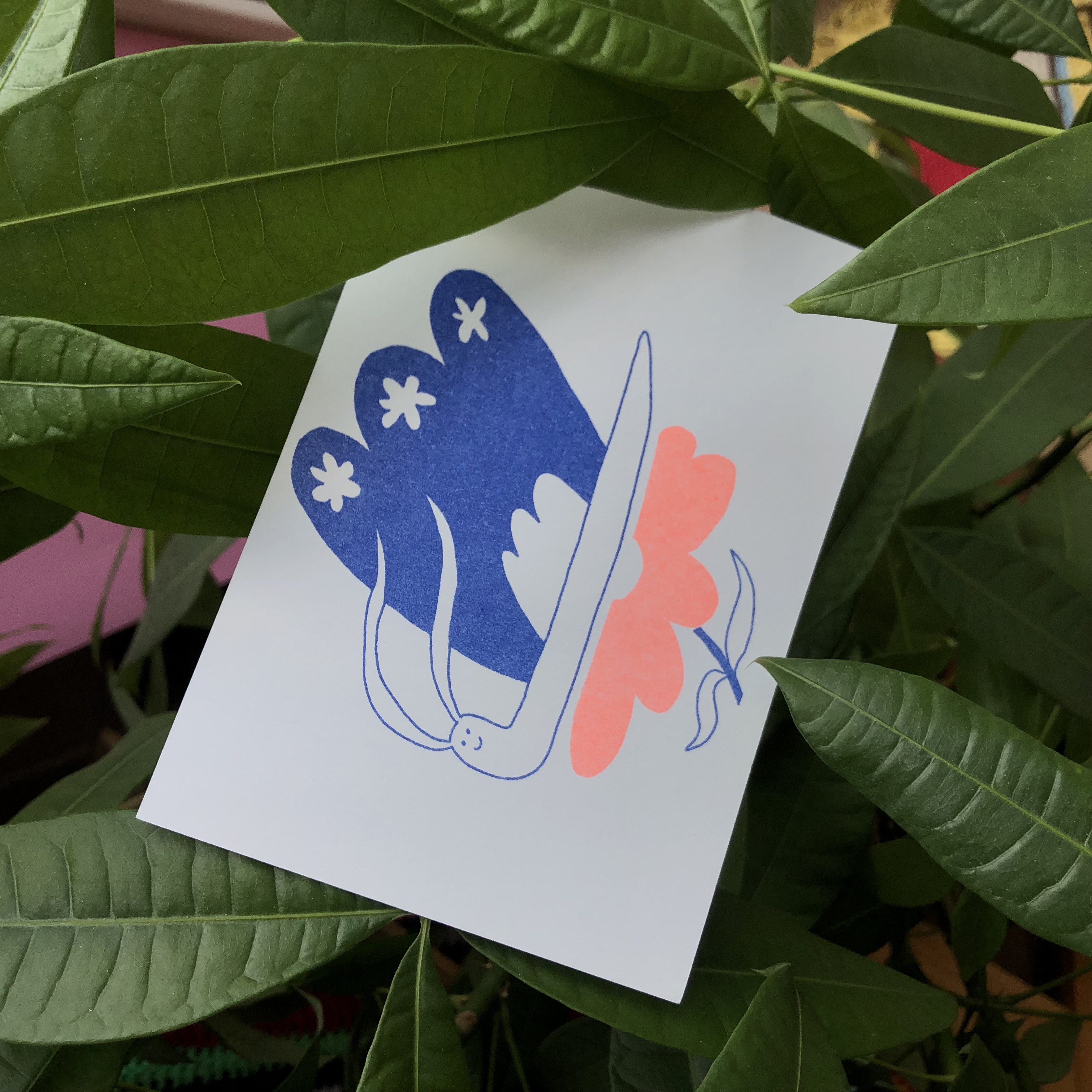 Postcard kit