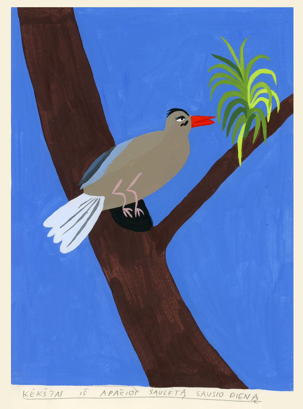 jaybird, on a sunny january day 
