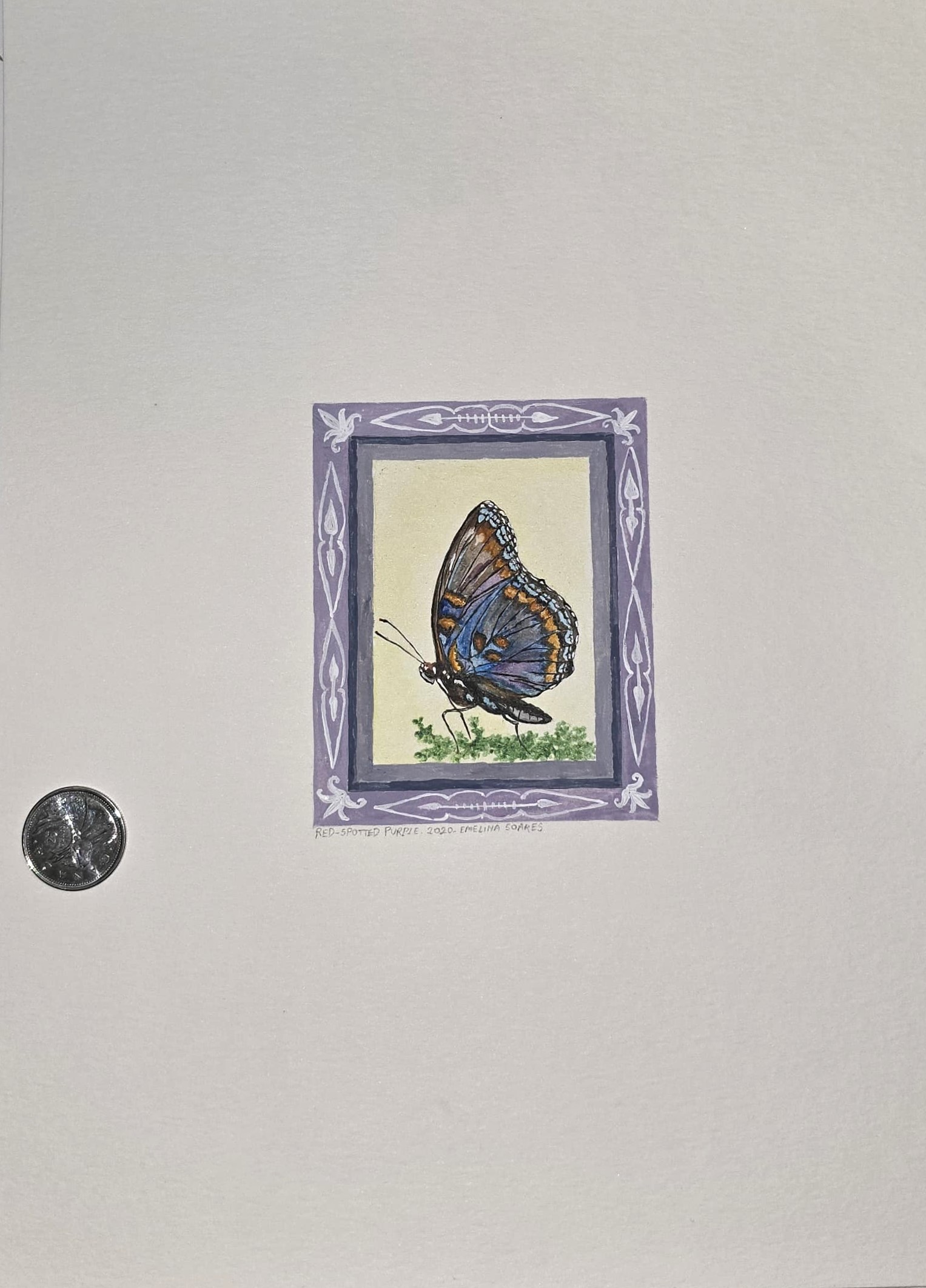 Red Spotted Purple - Miniature Painting
