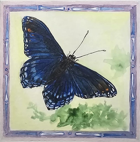 Limenitis Arthemis - Miniature Painting