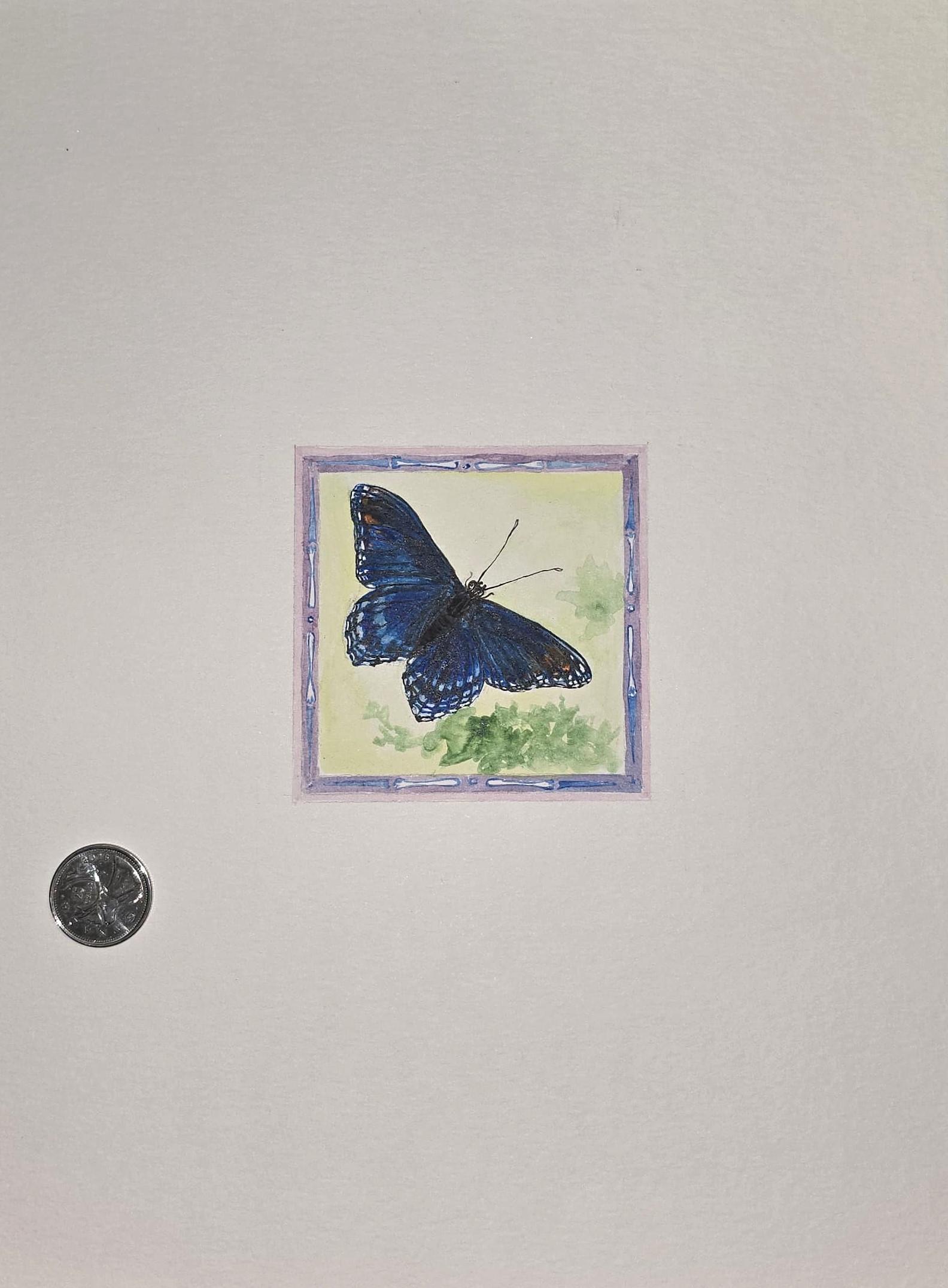 Limenitis Arthemis - Miniature Painting