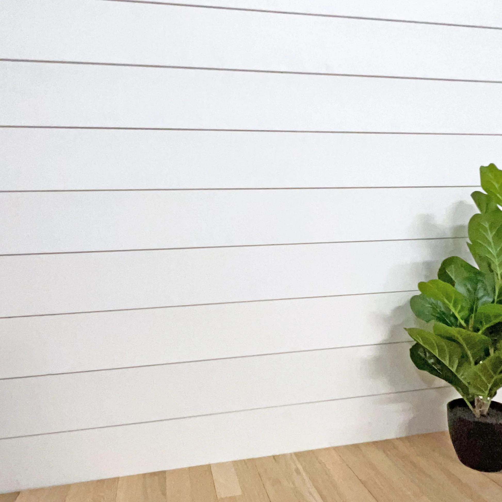 40ft Unibox Interior Painted Shiplap (any color)